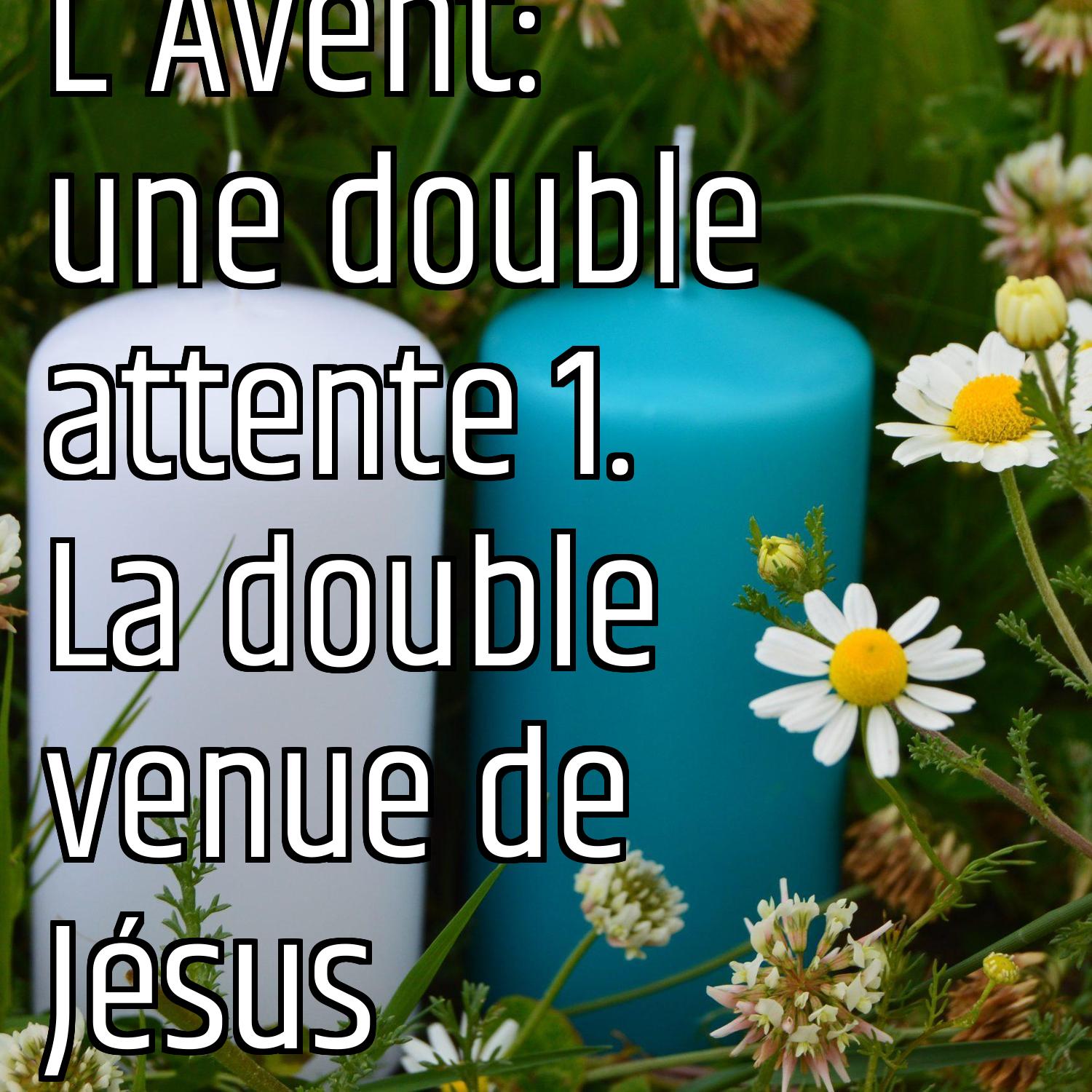 Au ras des pâquerettes