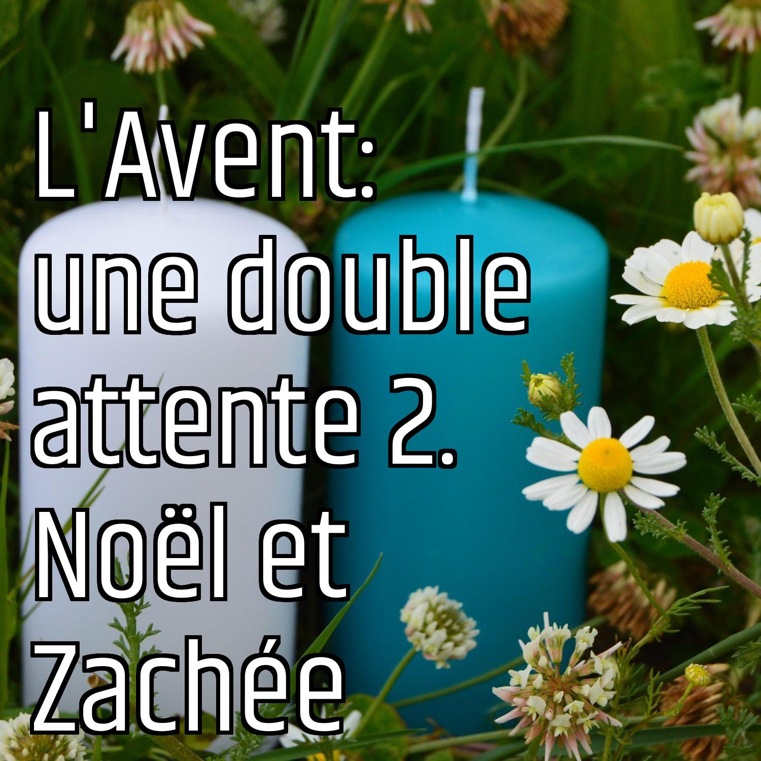Au ras des pâquerettes