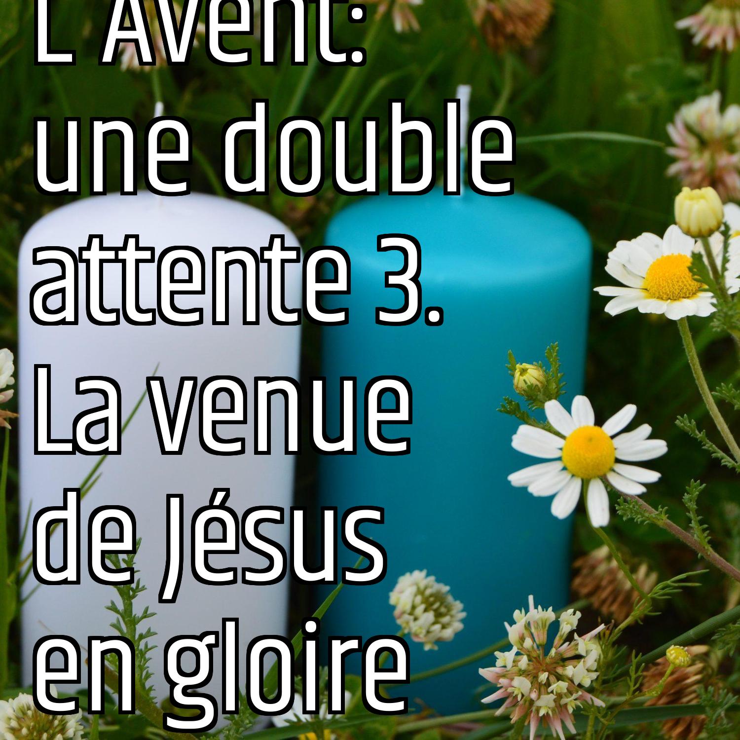 Au ras des pâquerettes