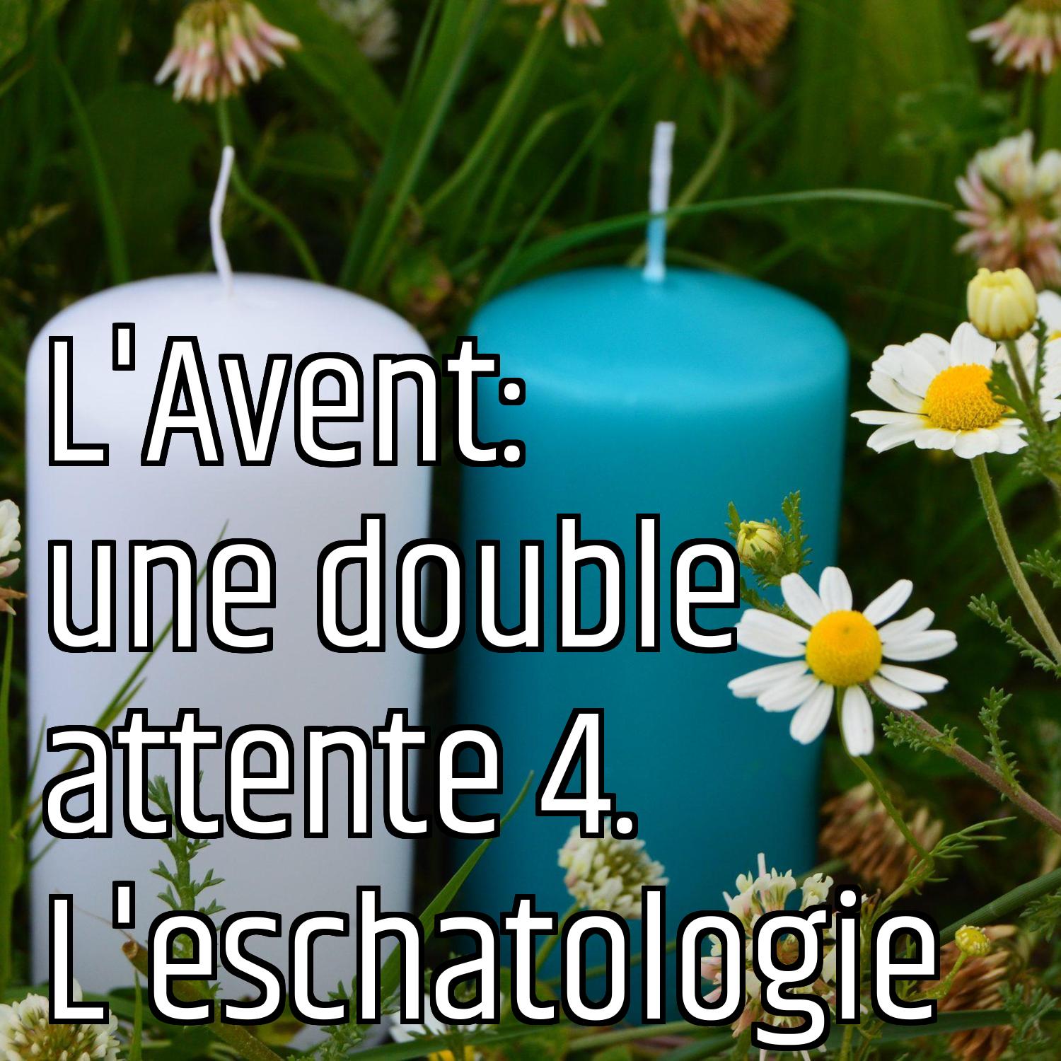 Au ras des pâquerettes