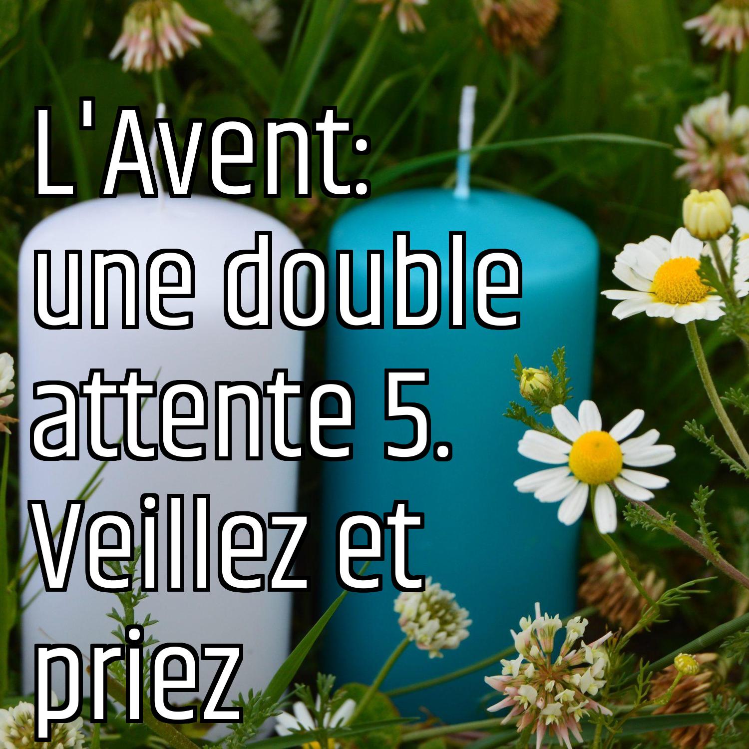 Au ras des pâquerettes
