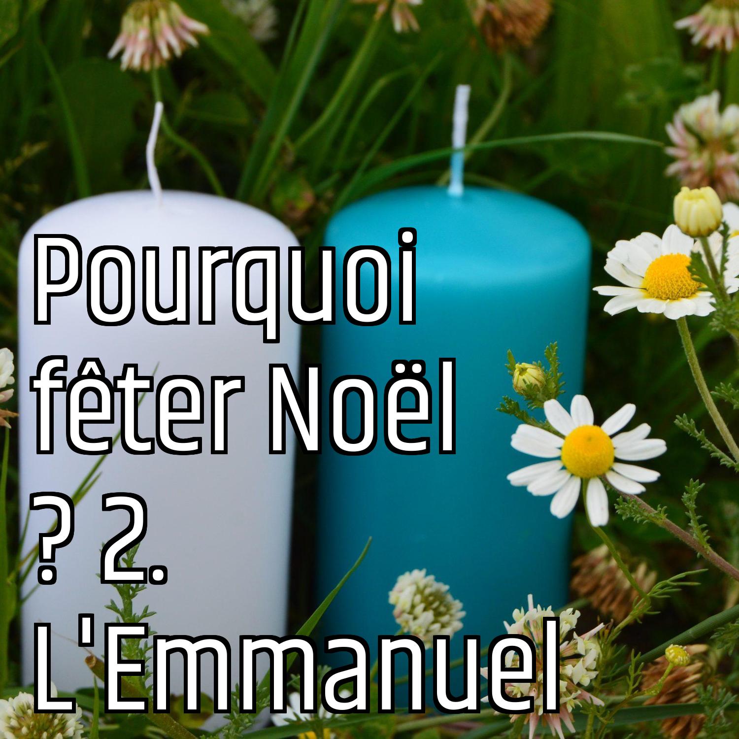 Au ras des pâquerettes