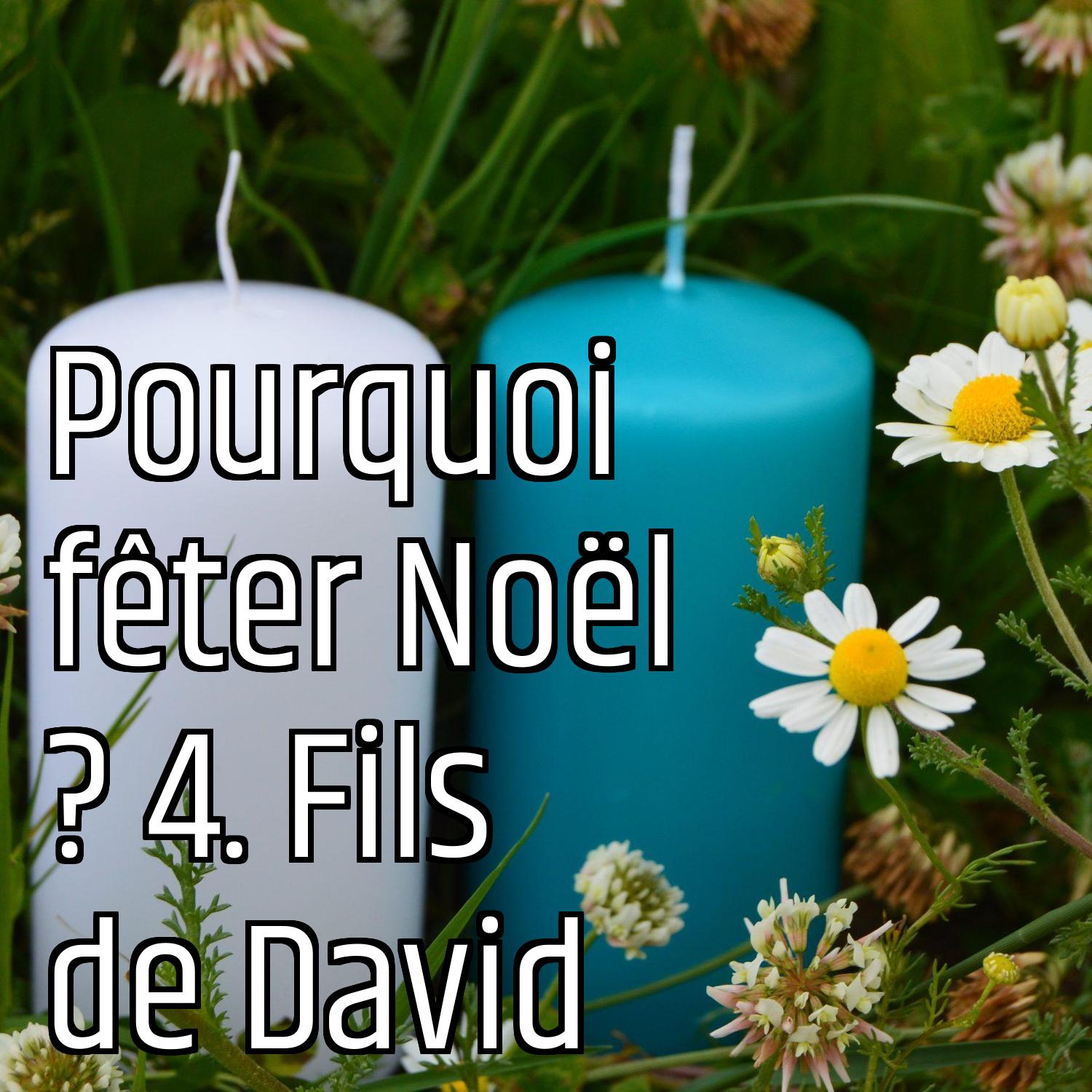 Au ras des pâquerettes
