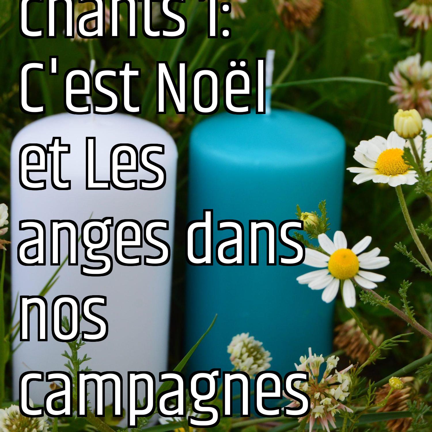 Au ras des pâquerettes