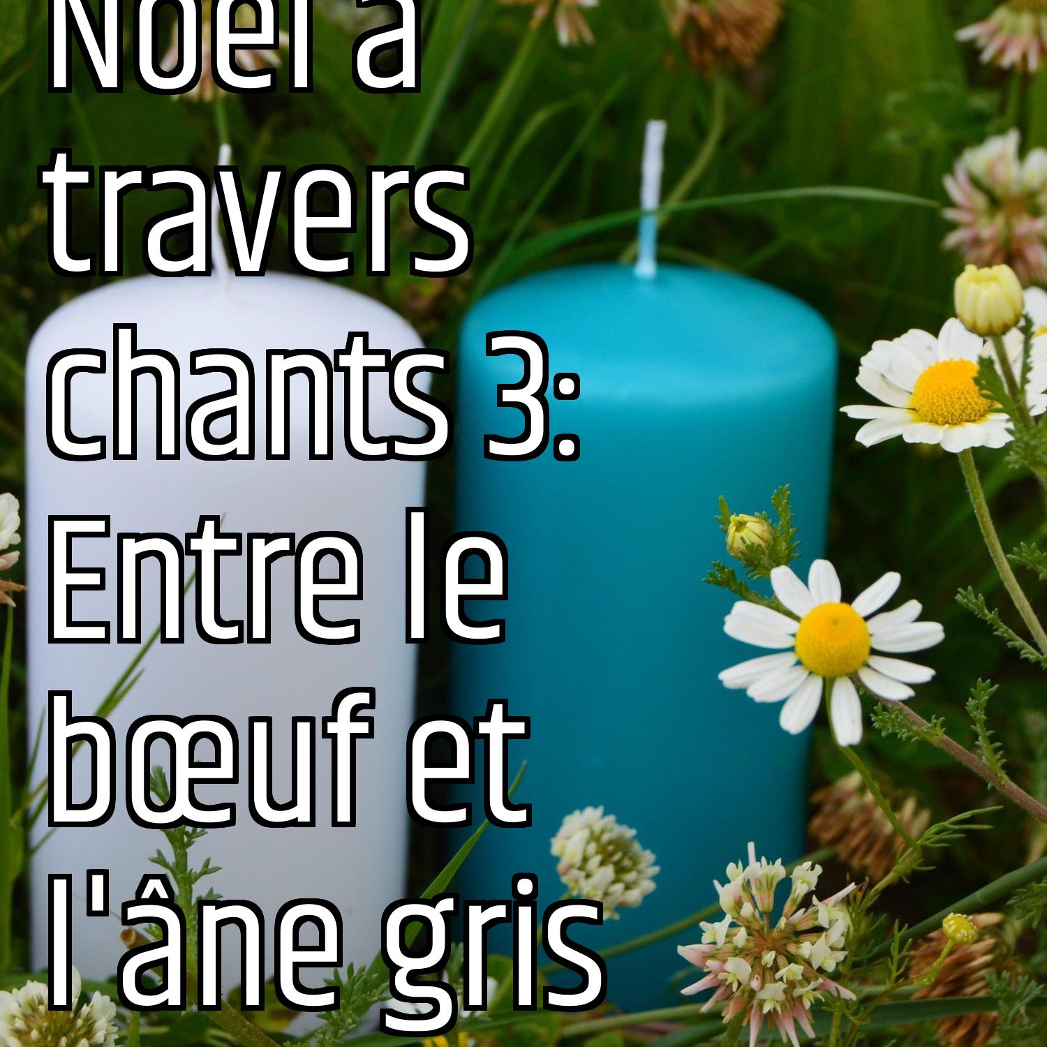 Au ras des pâquerettes