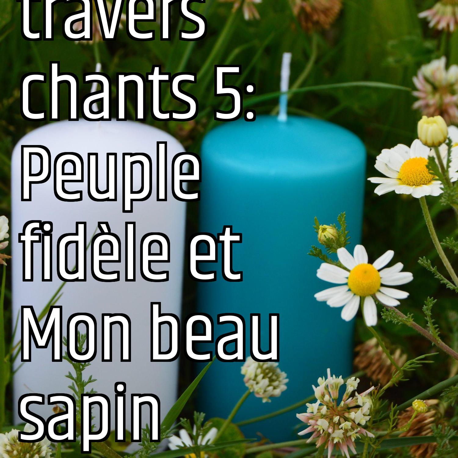 Au ras des pâquerettes