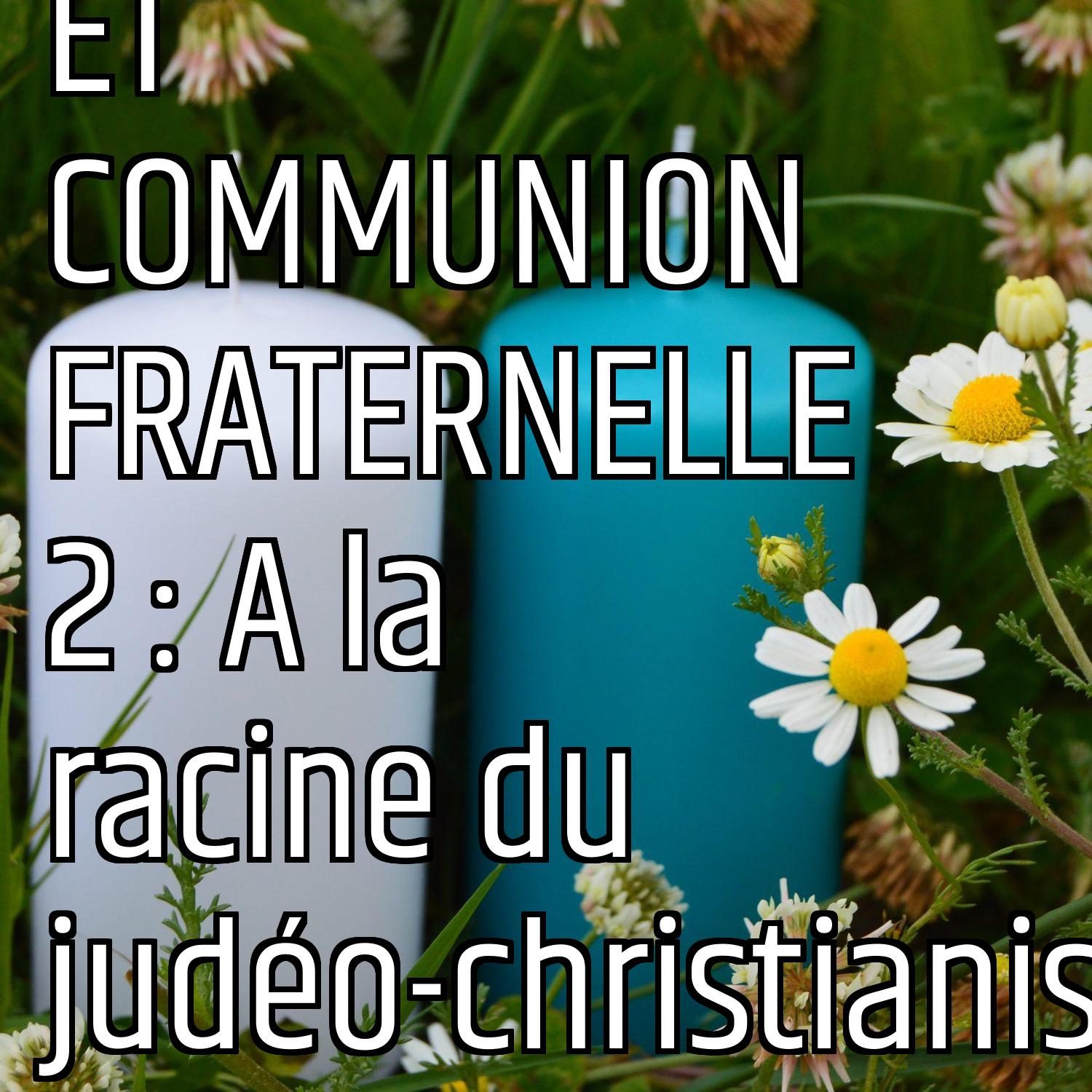 Au ras des pâquerettes