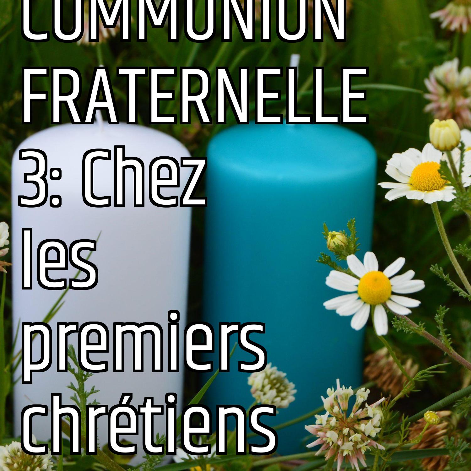 Au ras des pâquerettes