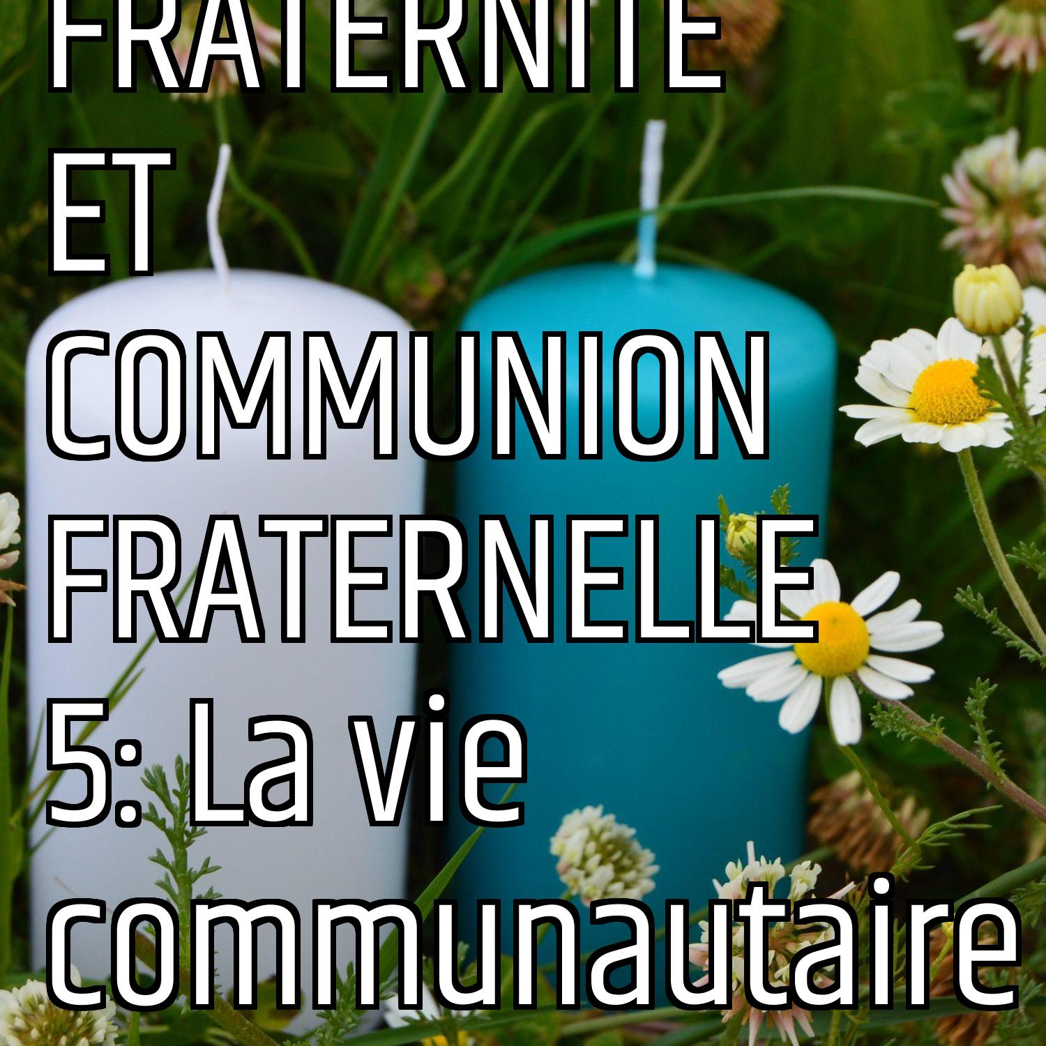 Au ras des pâquerettes