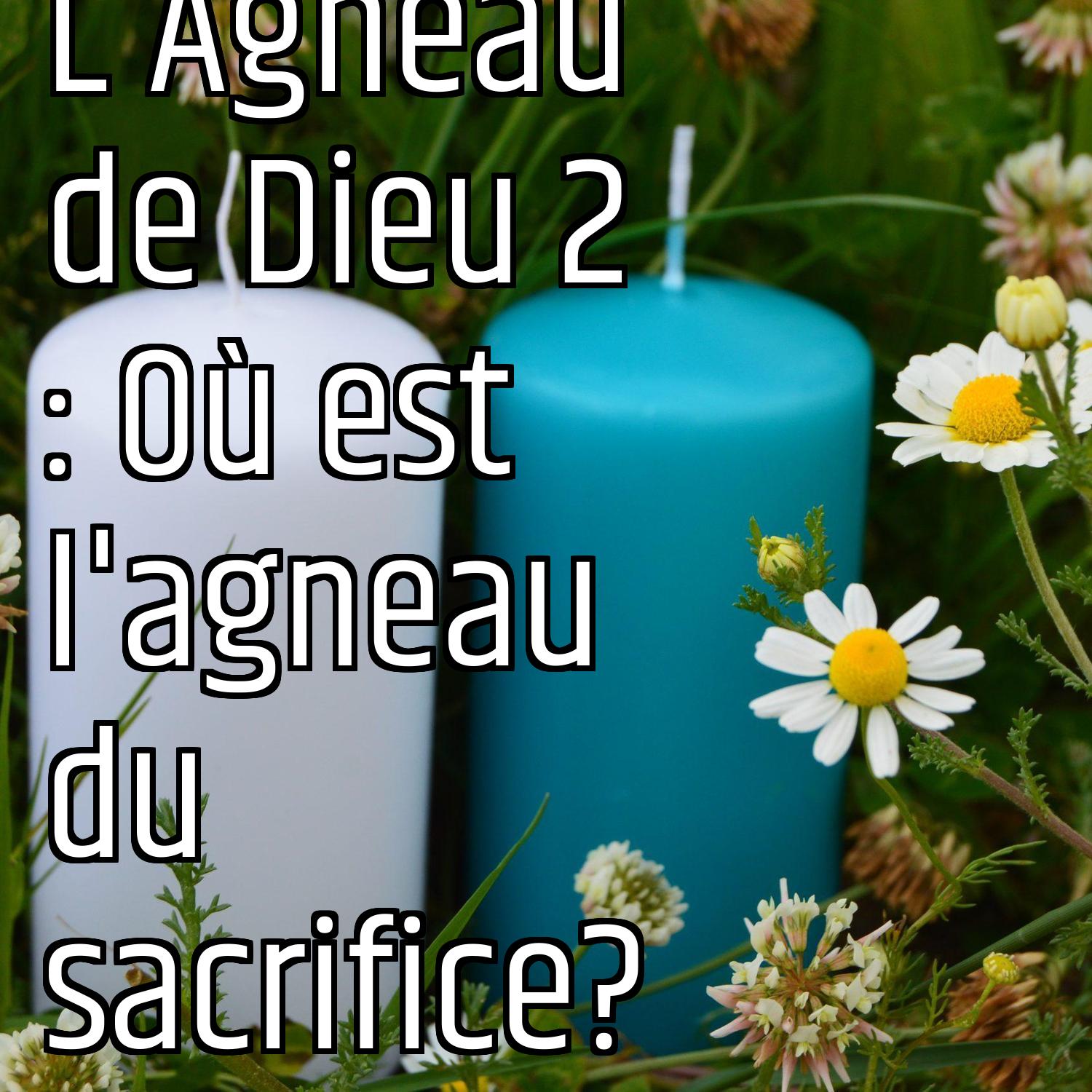 Au ras des pâquerettes
