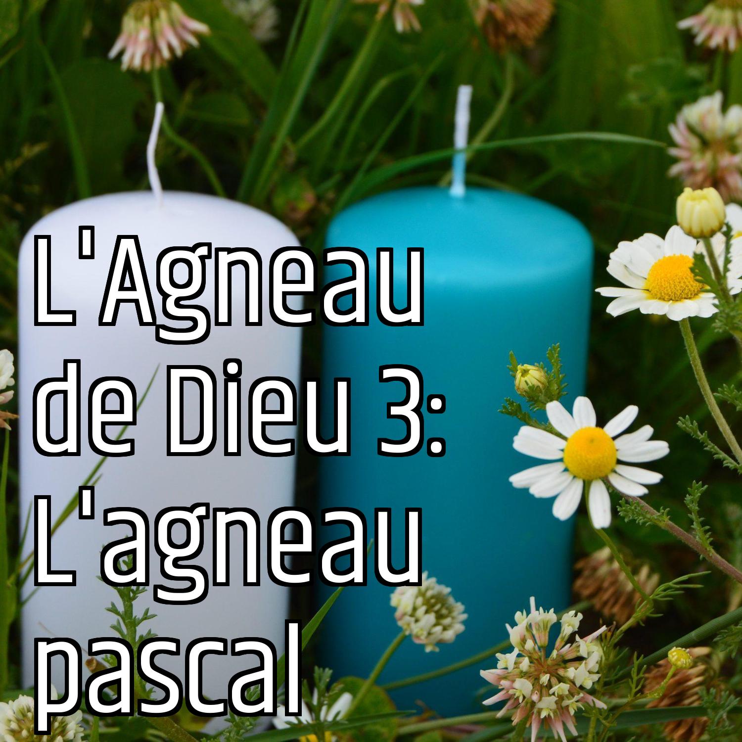 Au ras des pâquerettes