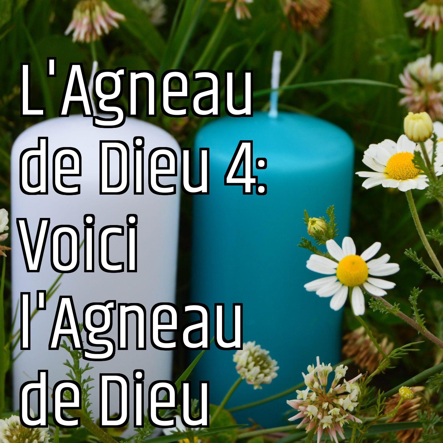 Au ras des pâquerettes