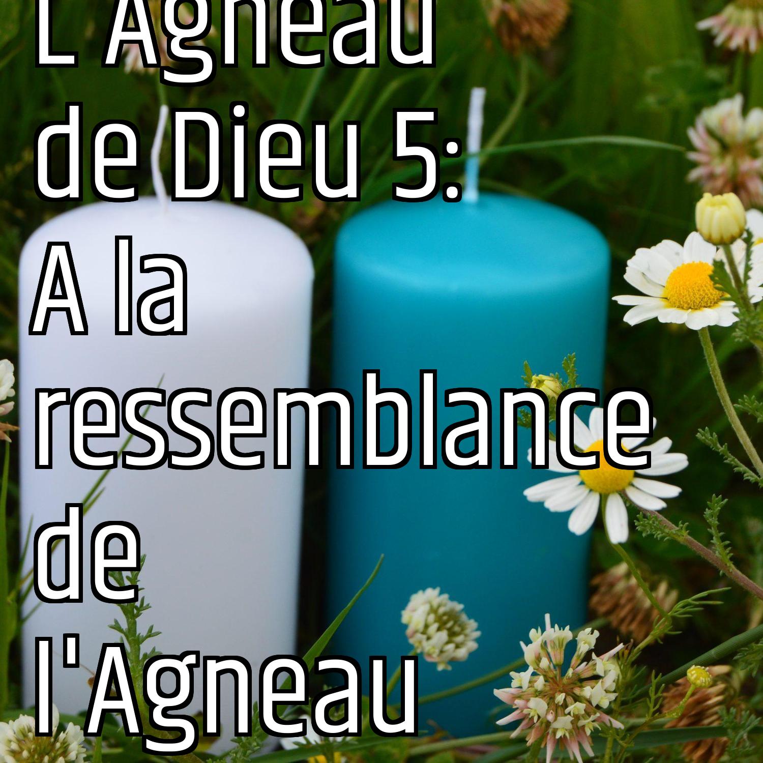 Au ras des pâquerettes