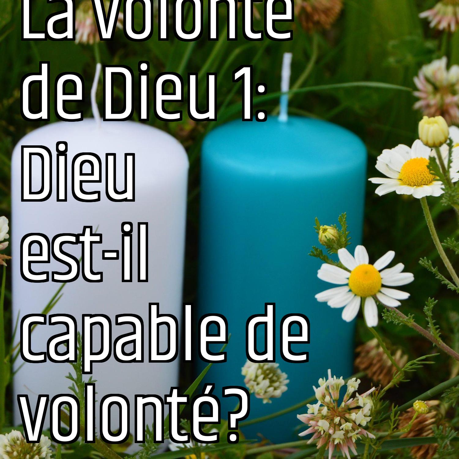 Au ras des pâquerettes