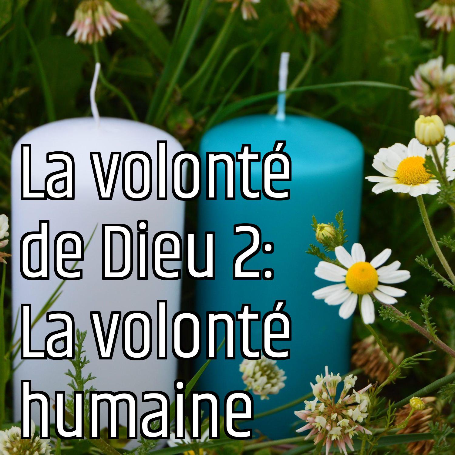Au ras des pâquerettes