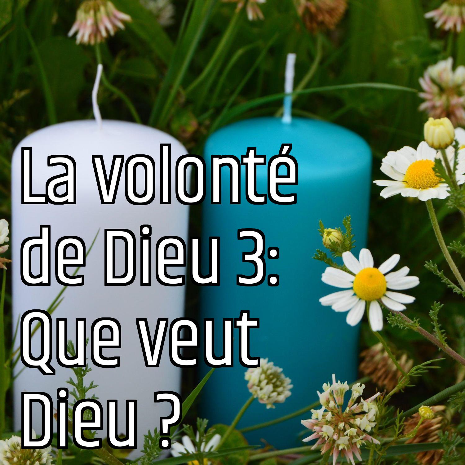Au ras des pâquerettes