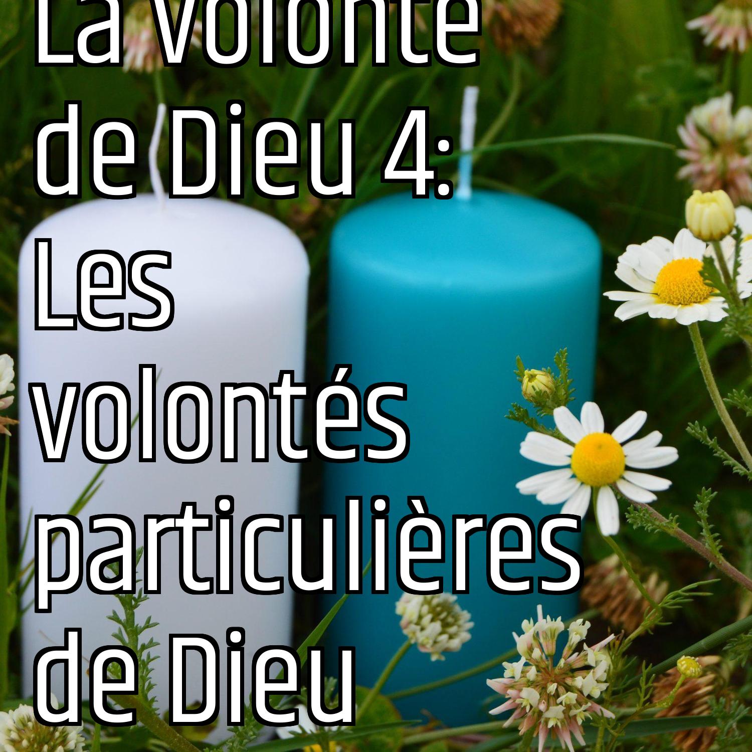 Au ras des pâquerettes