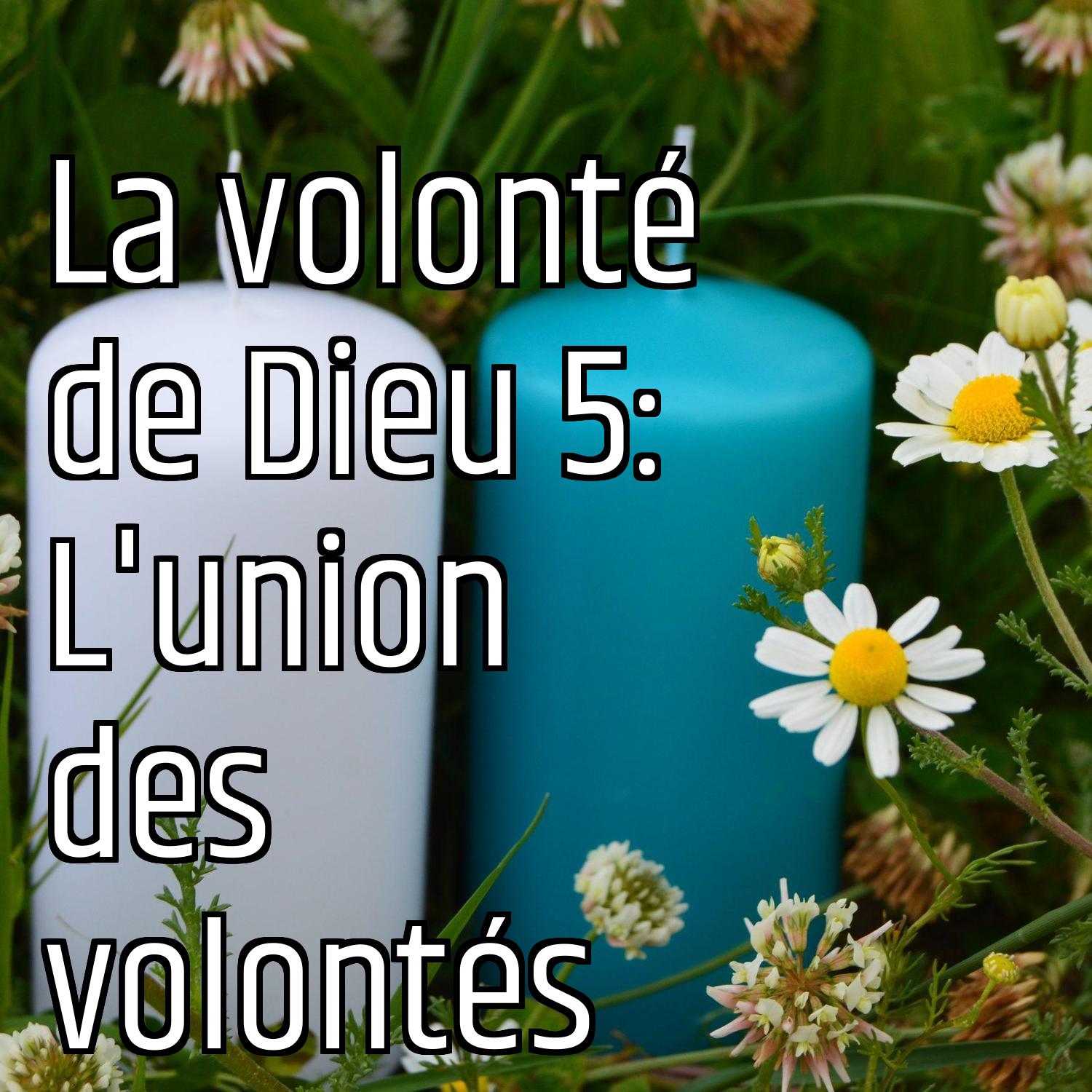 Au ras des pâquerettes