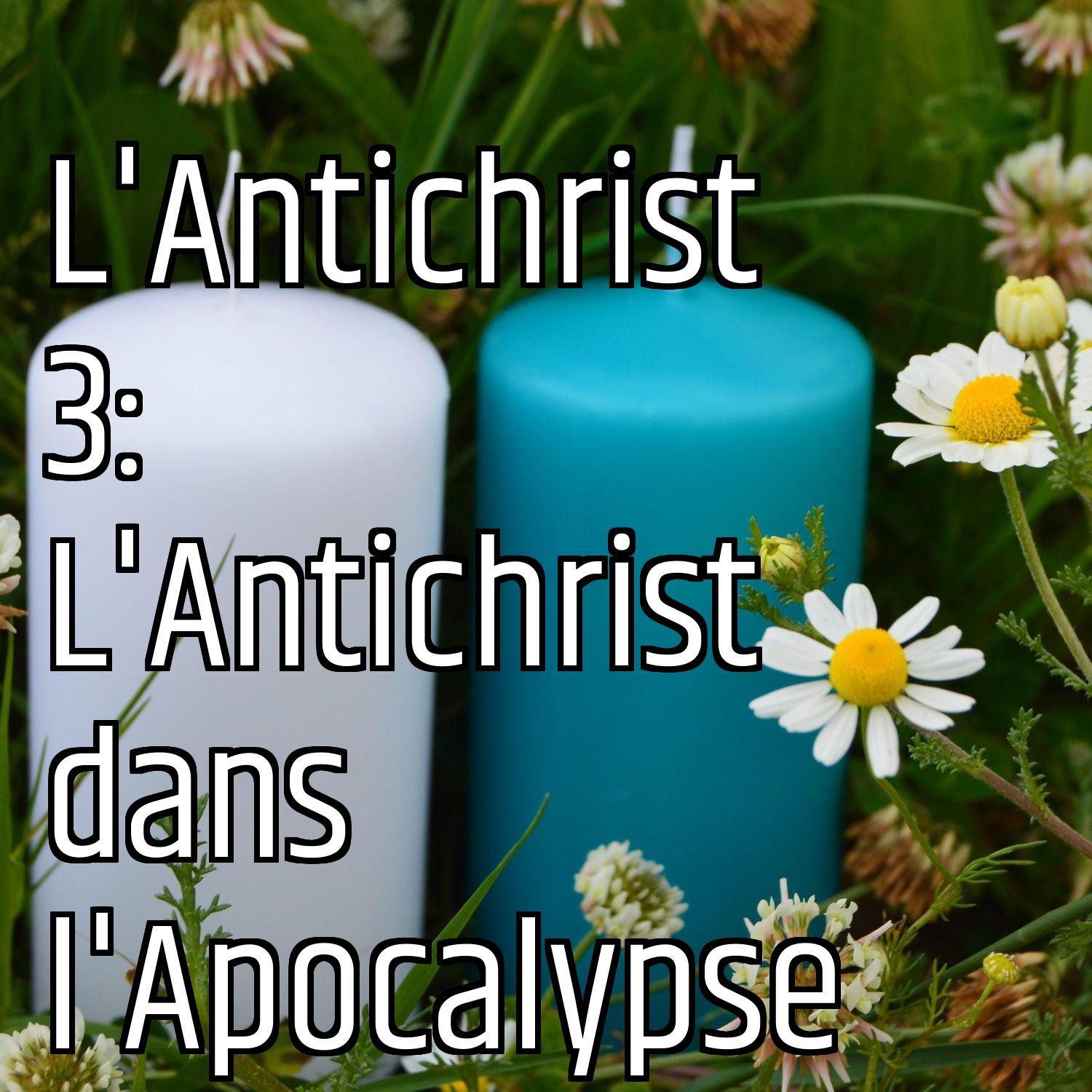 Au ras des pâquerettes