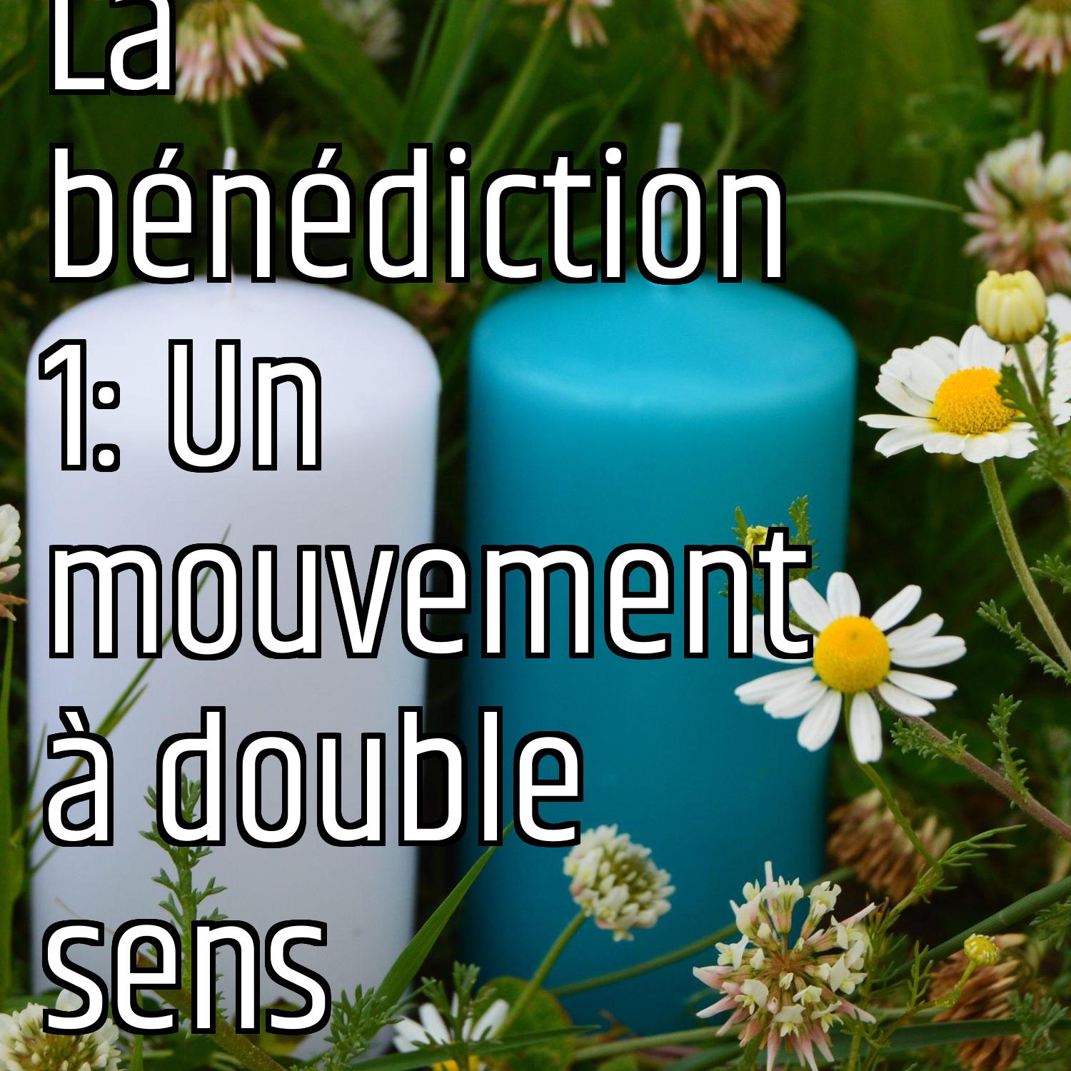 Au ras des pâquerettes