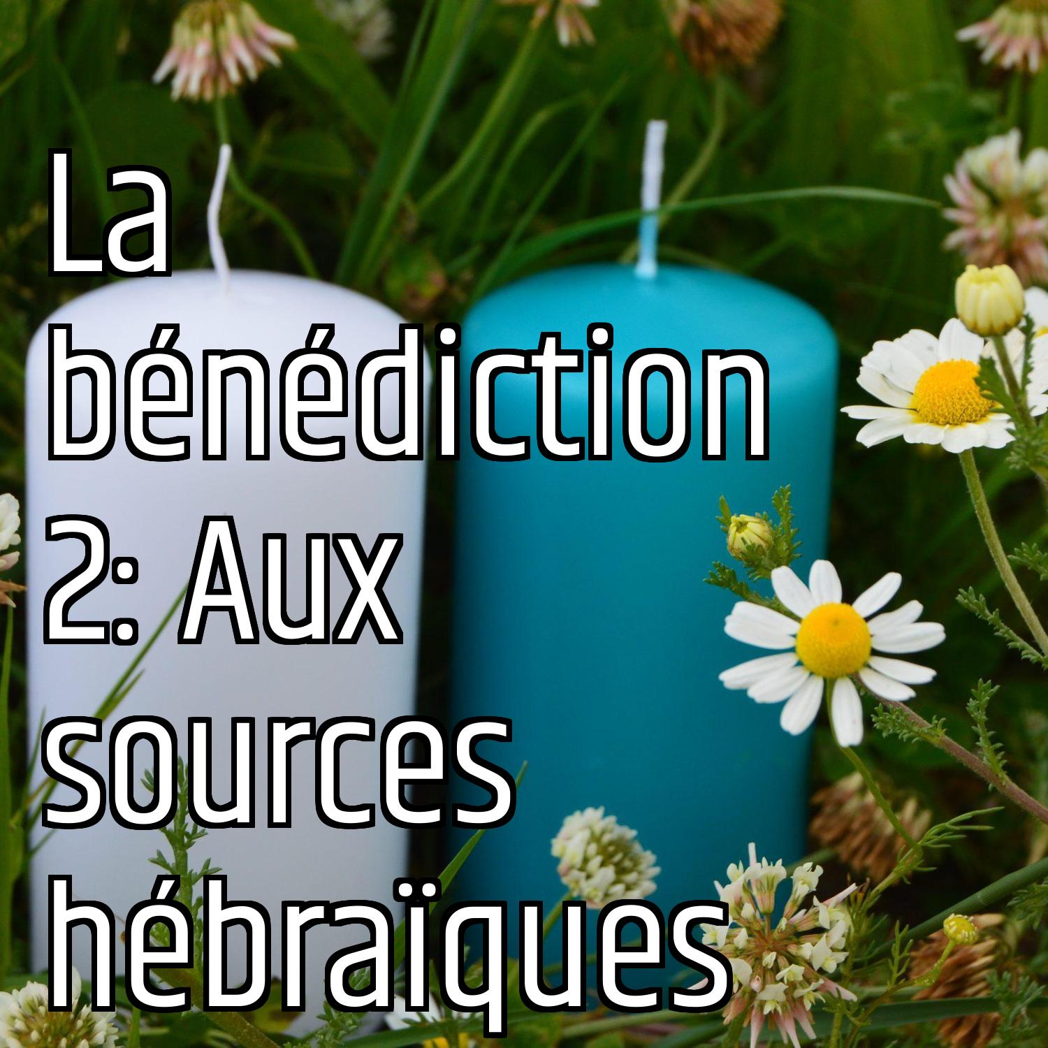 Au ras des pâquerettes