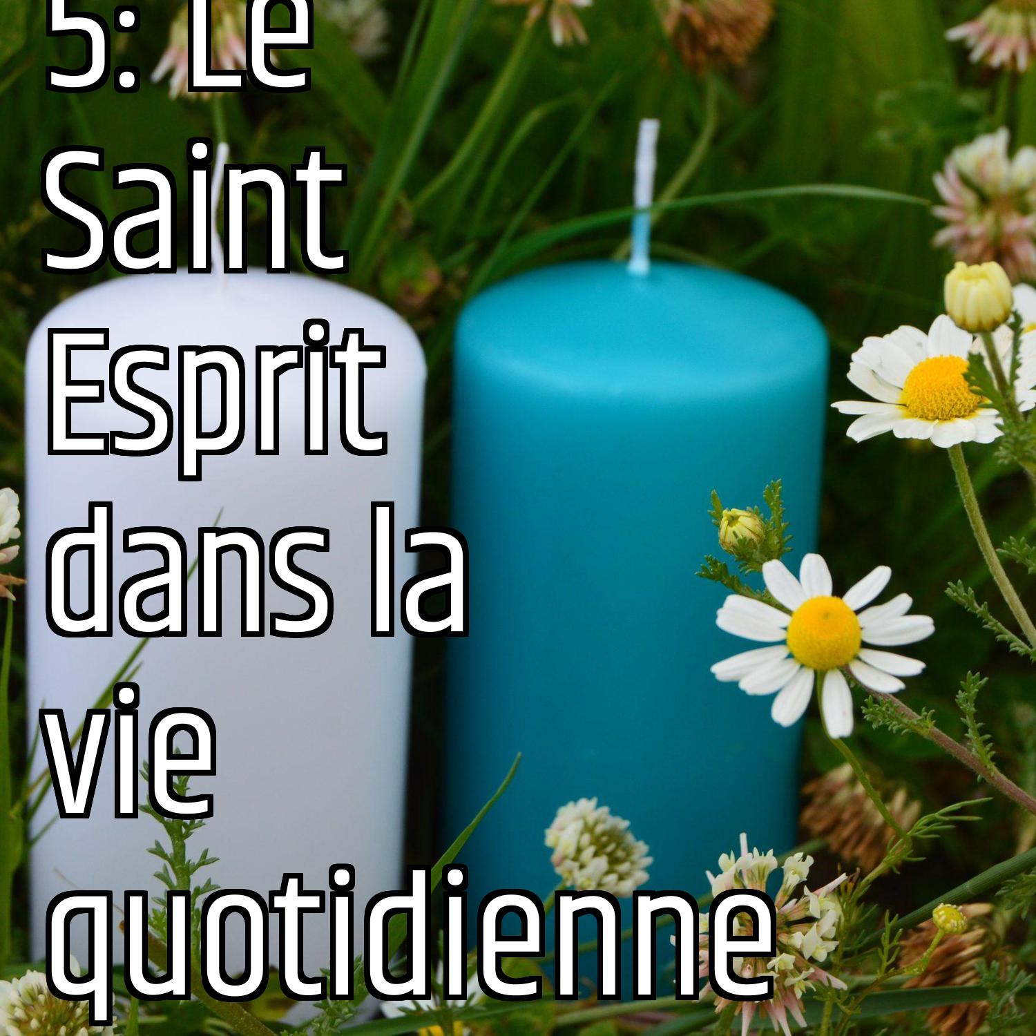 Au ras des pâquerettes