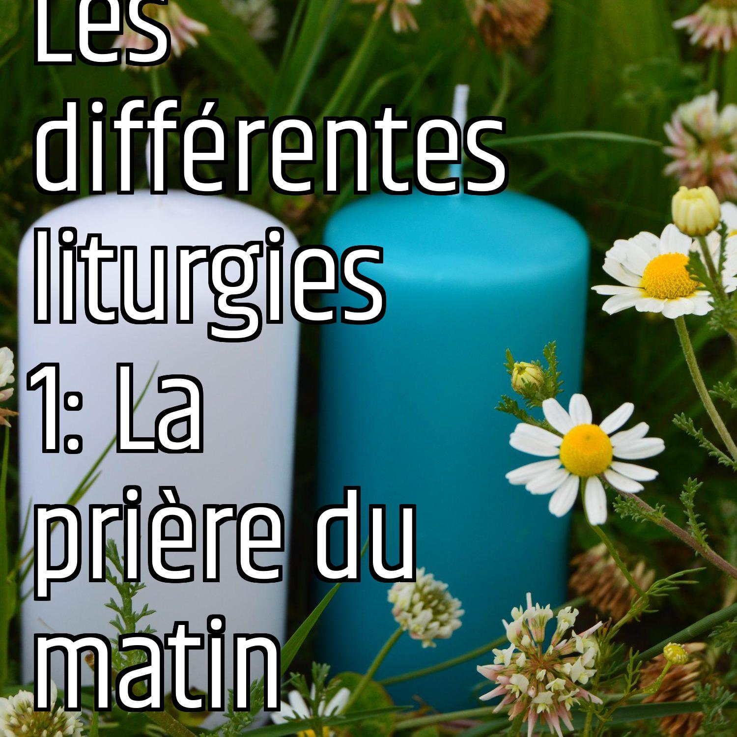 Au ras des pâquerettes