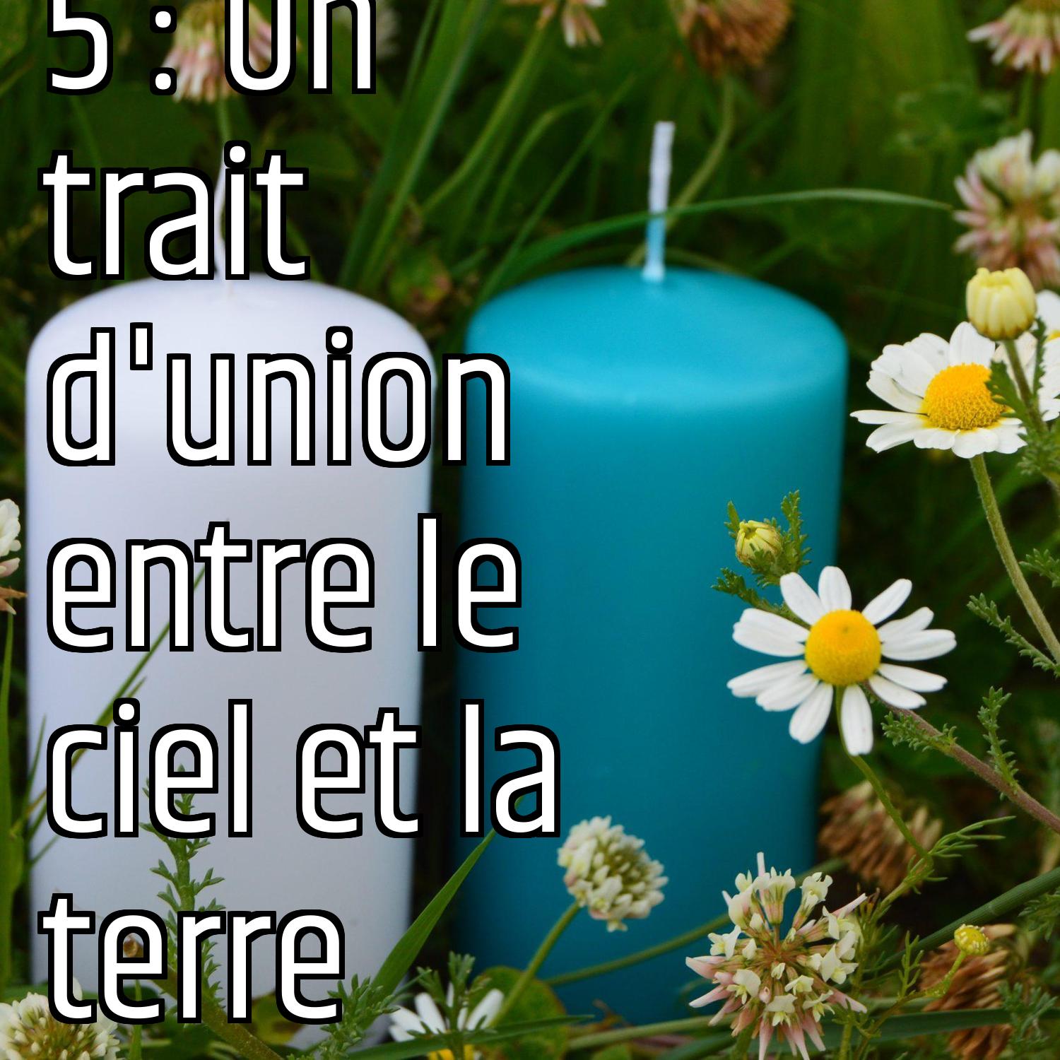 Au ras des pâquerettes