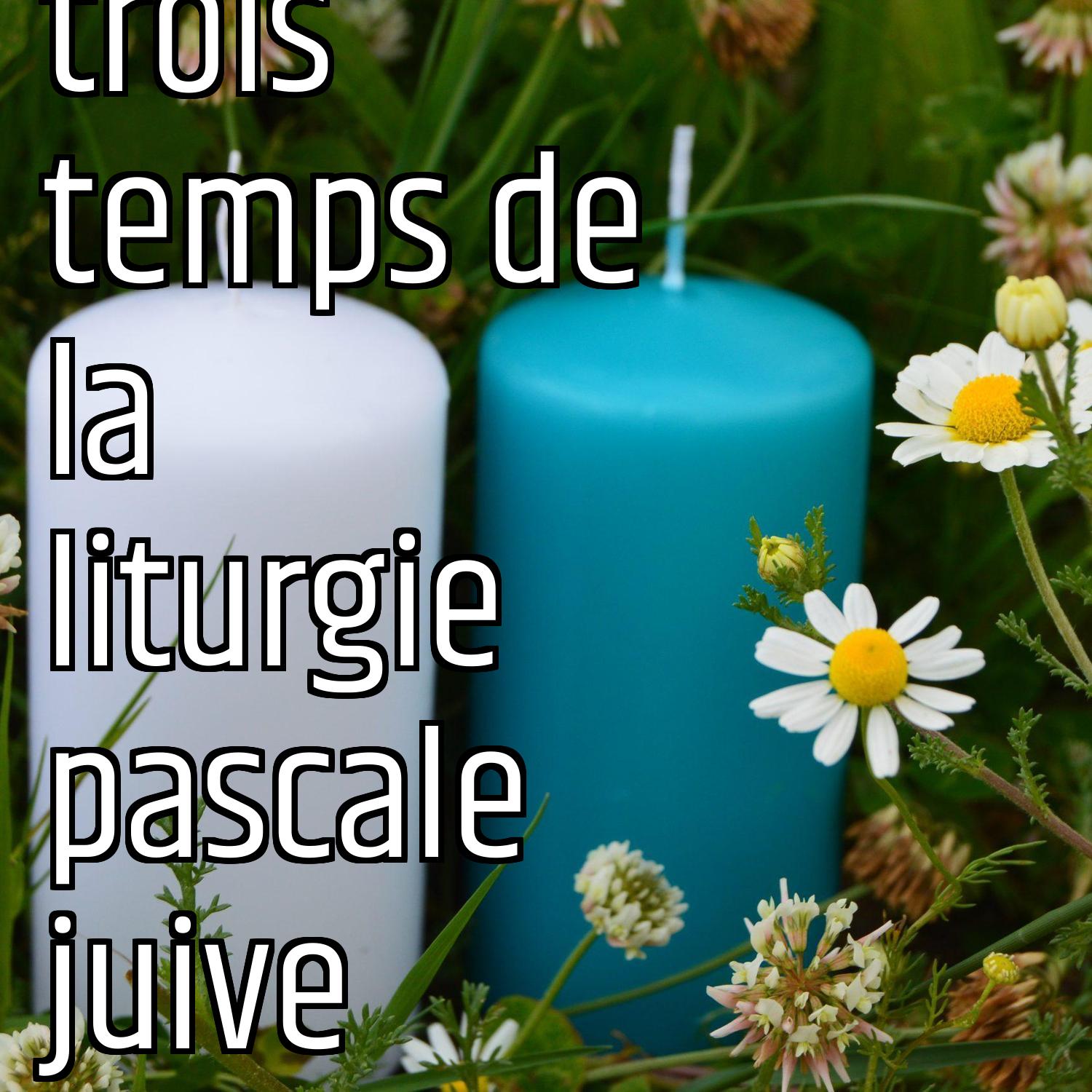 Au ras des pâquerettes