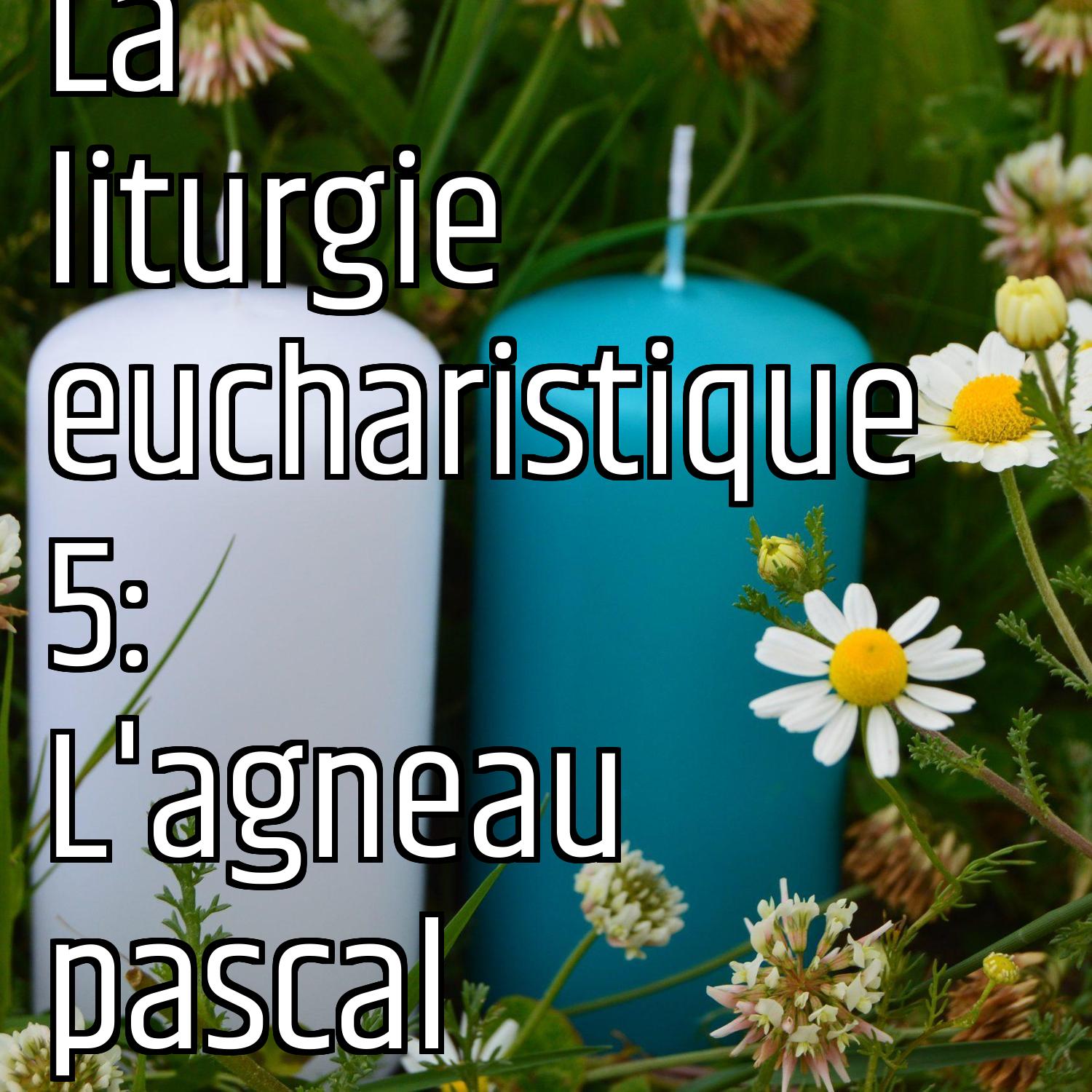 Au ras des pâquerettes