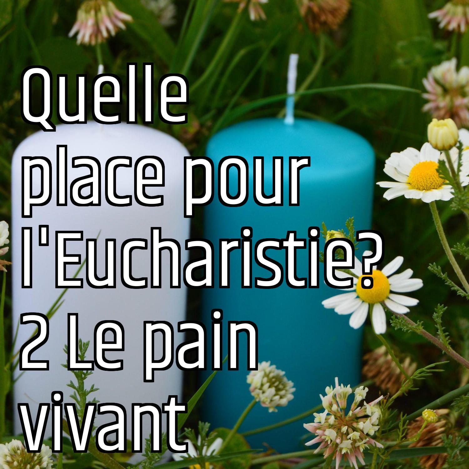 Au ras des pâquerettes