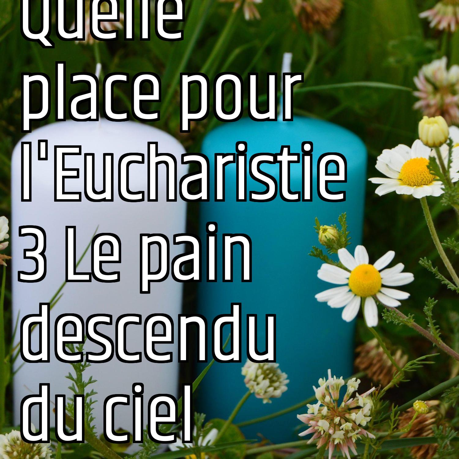 Au ras des pâquerettes