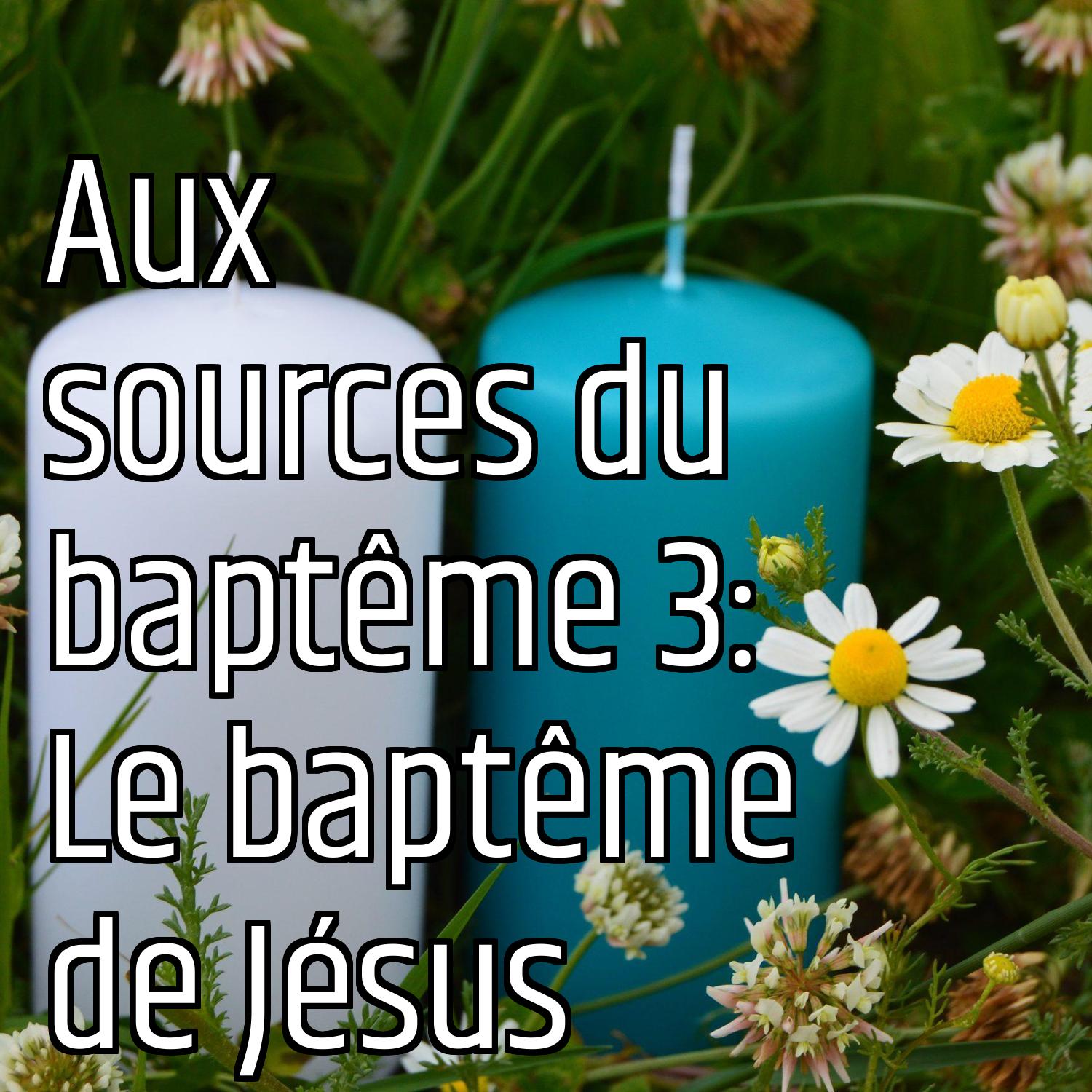 Au ras des pâquerettes