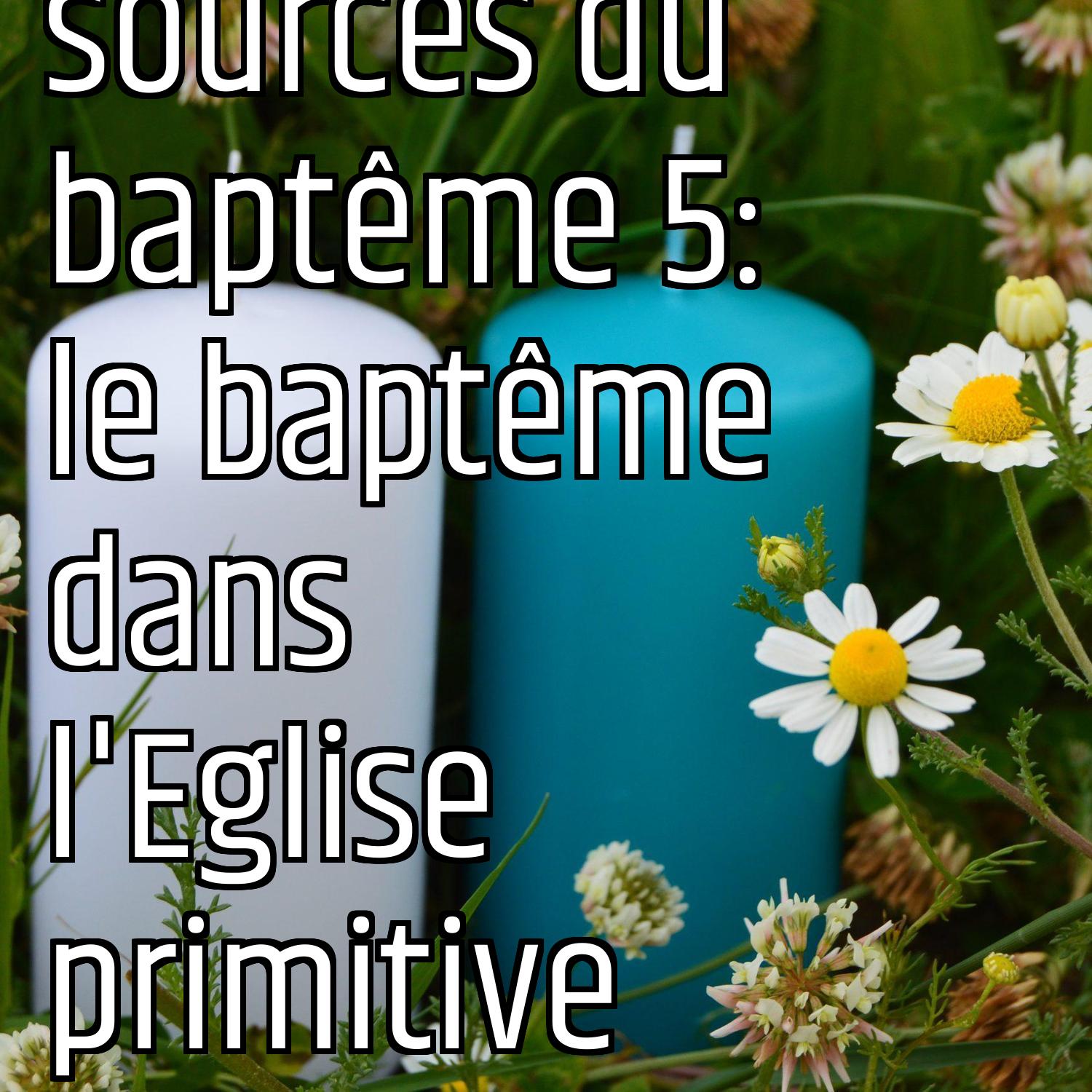 Au ras des pâquerettes