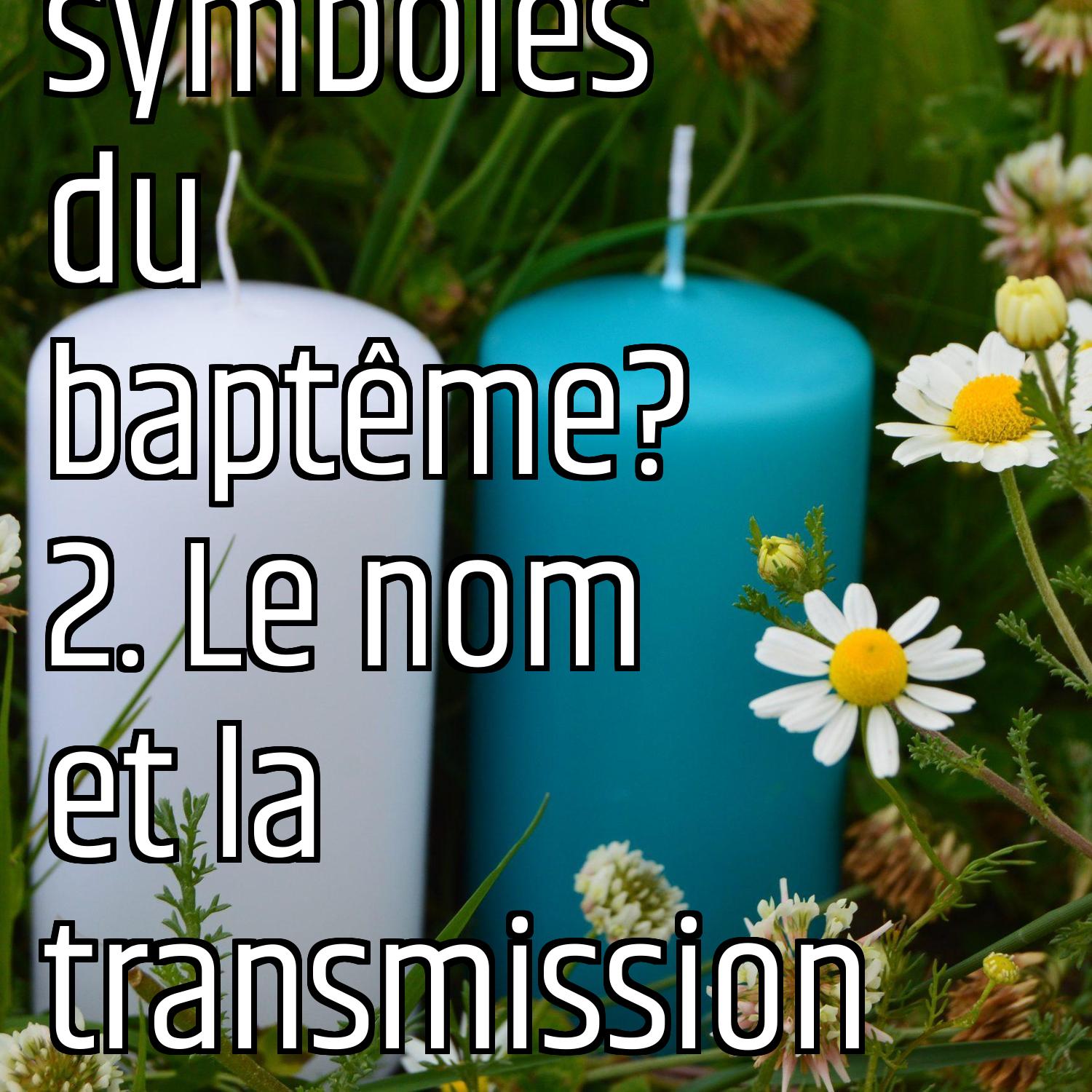 Au ras des pâquerettes