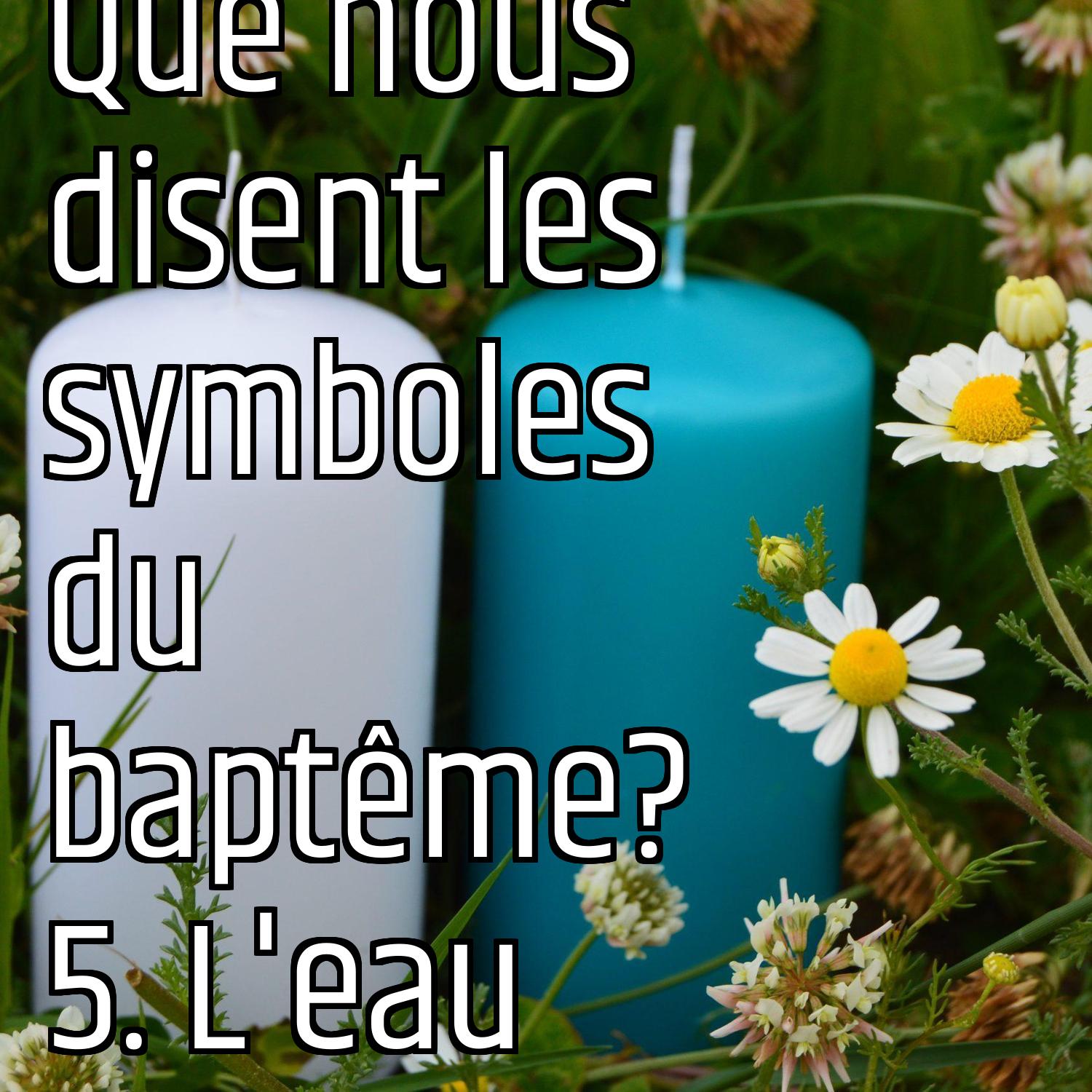 Au ras des pâquerettes