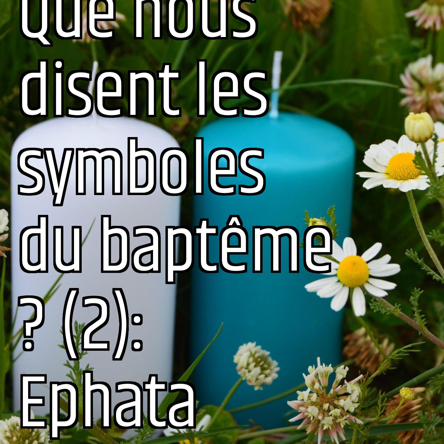 Au ras des pâquerettes