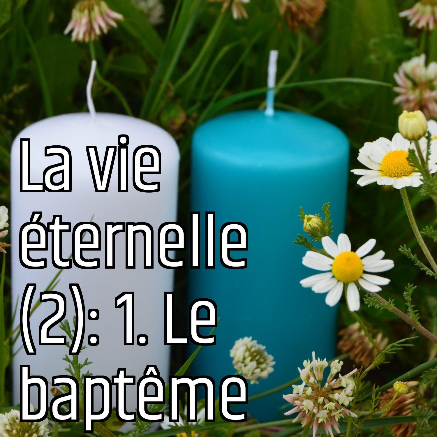 Au ras des pâquerettes