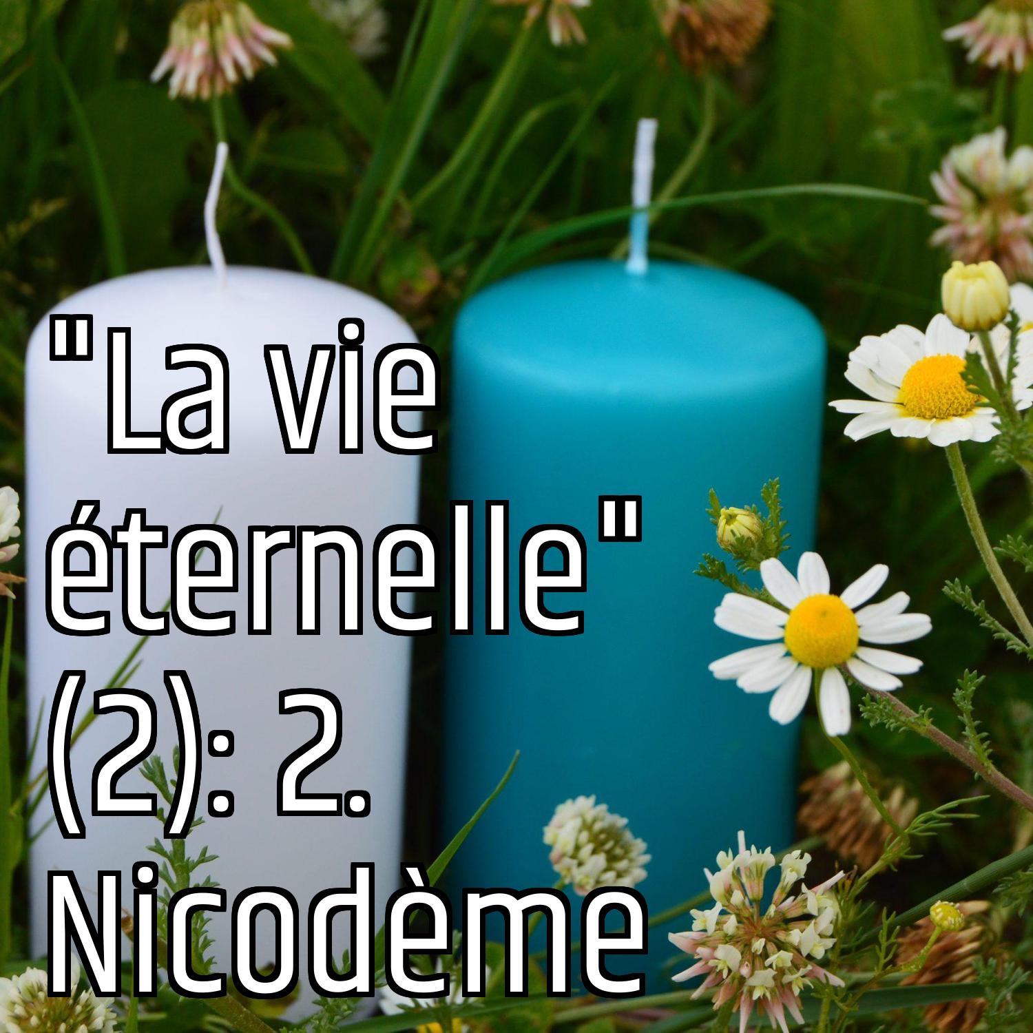 Au ras des pâquerettes