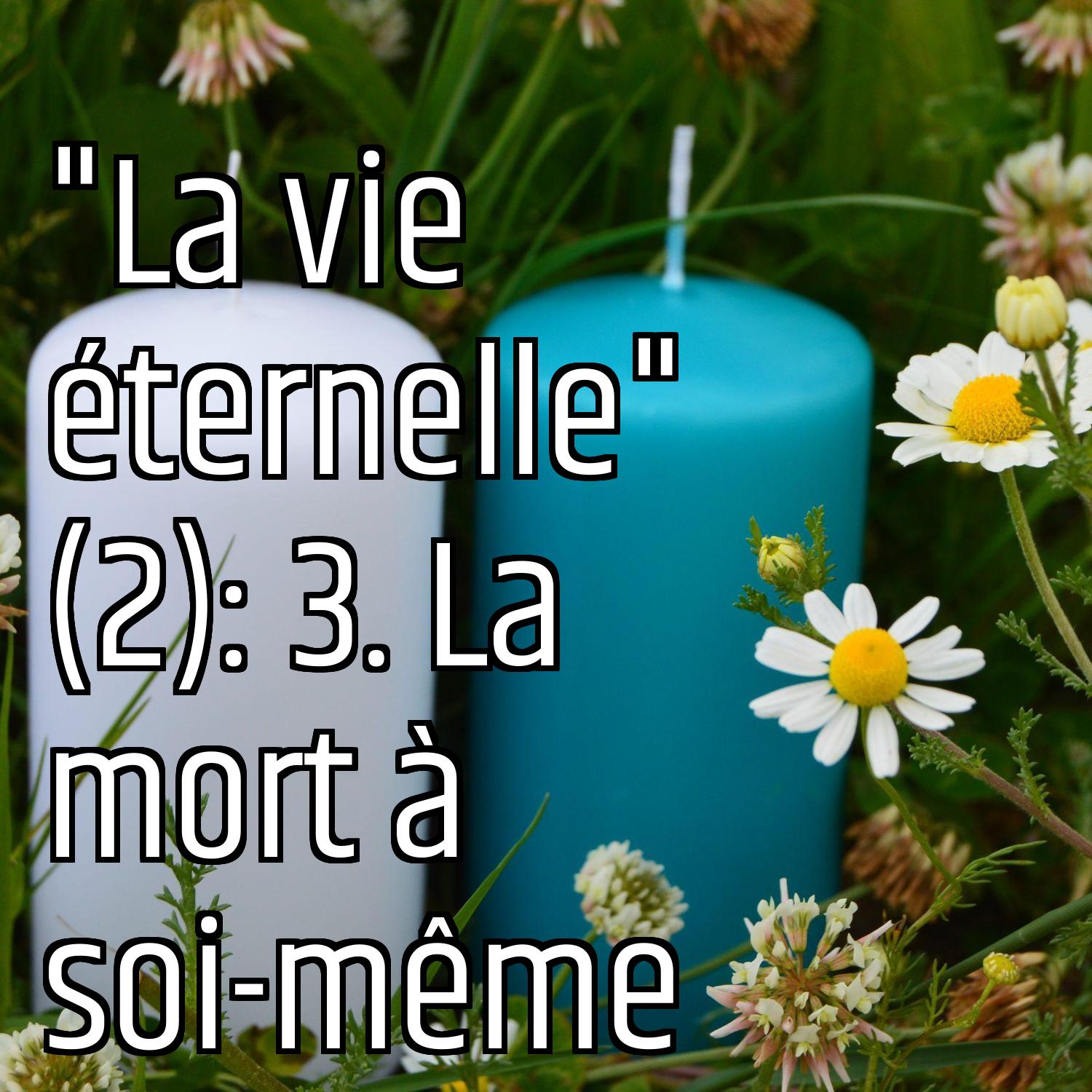 Au ras des pâquerettes