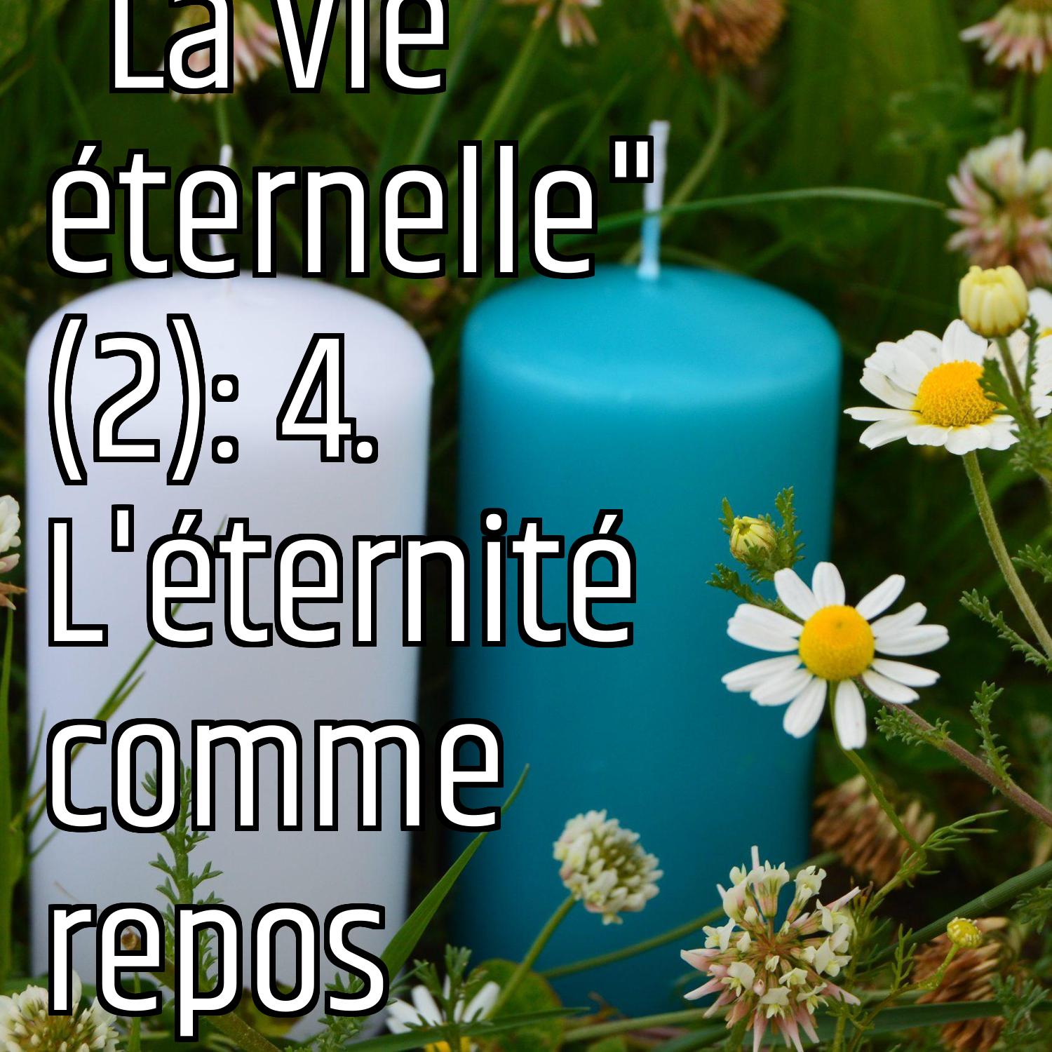 Au ras des pâquerettes