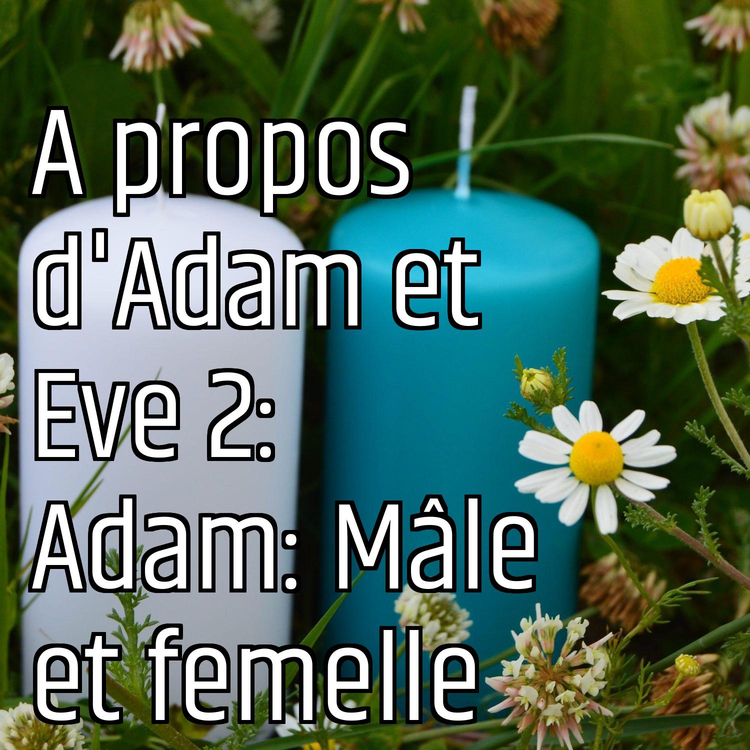 Au ras des pâquerettes