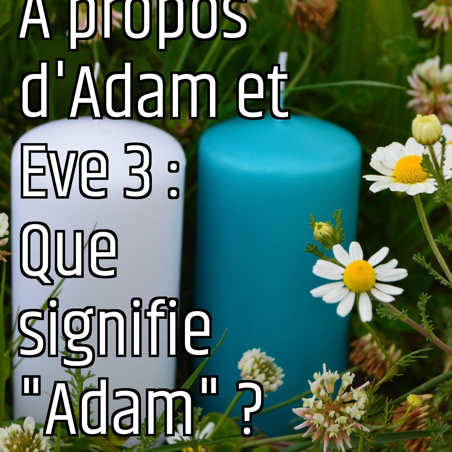 Au ras des pâquerettes