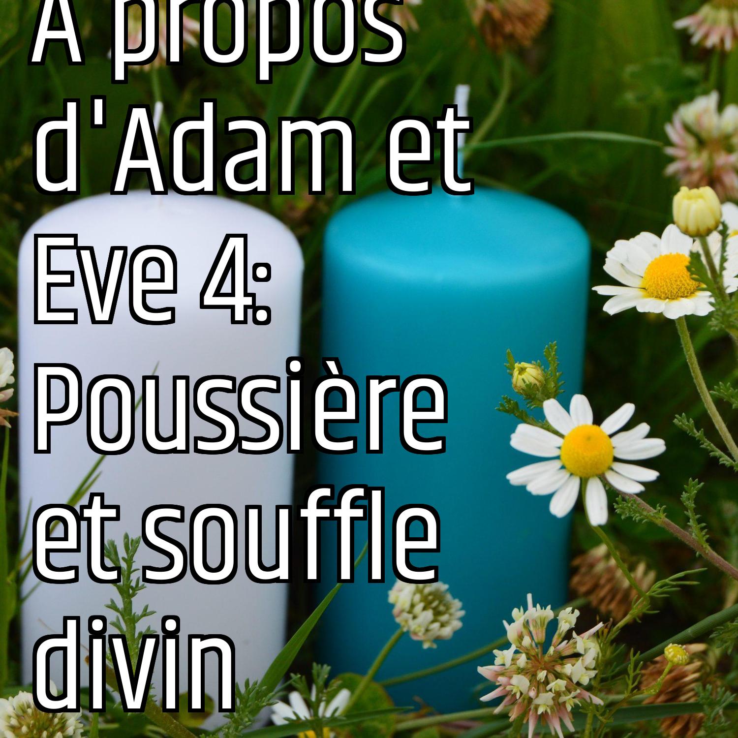 Au ras des pâquerettes