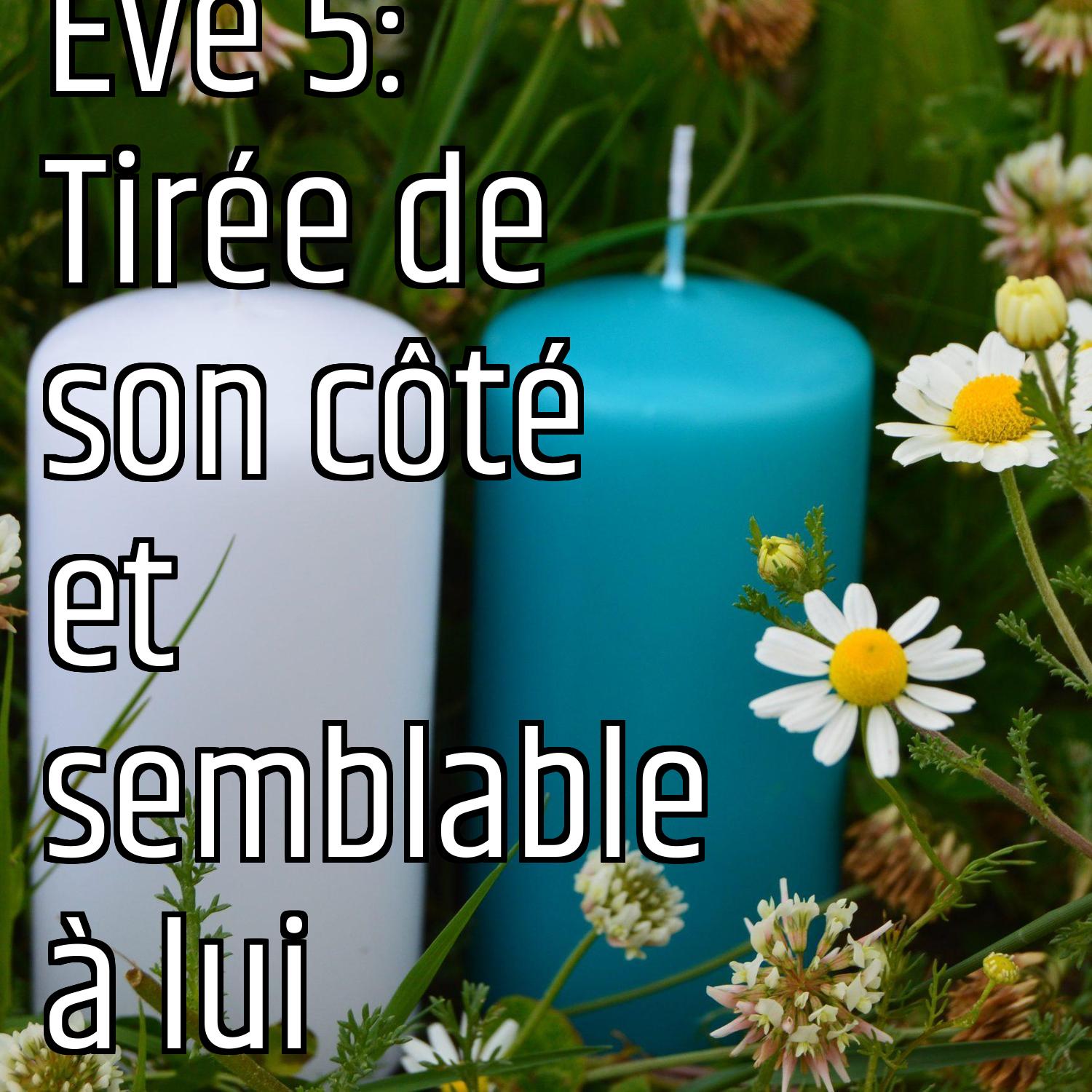 Au ras des pâquerettes