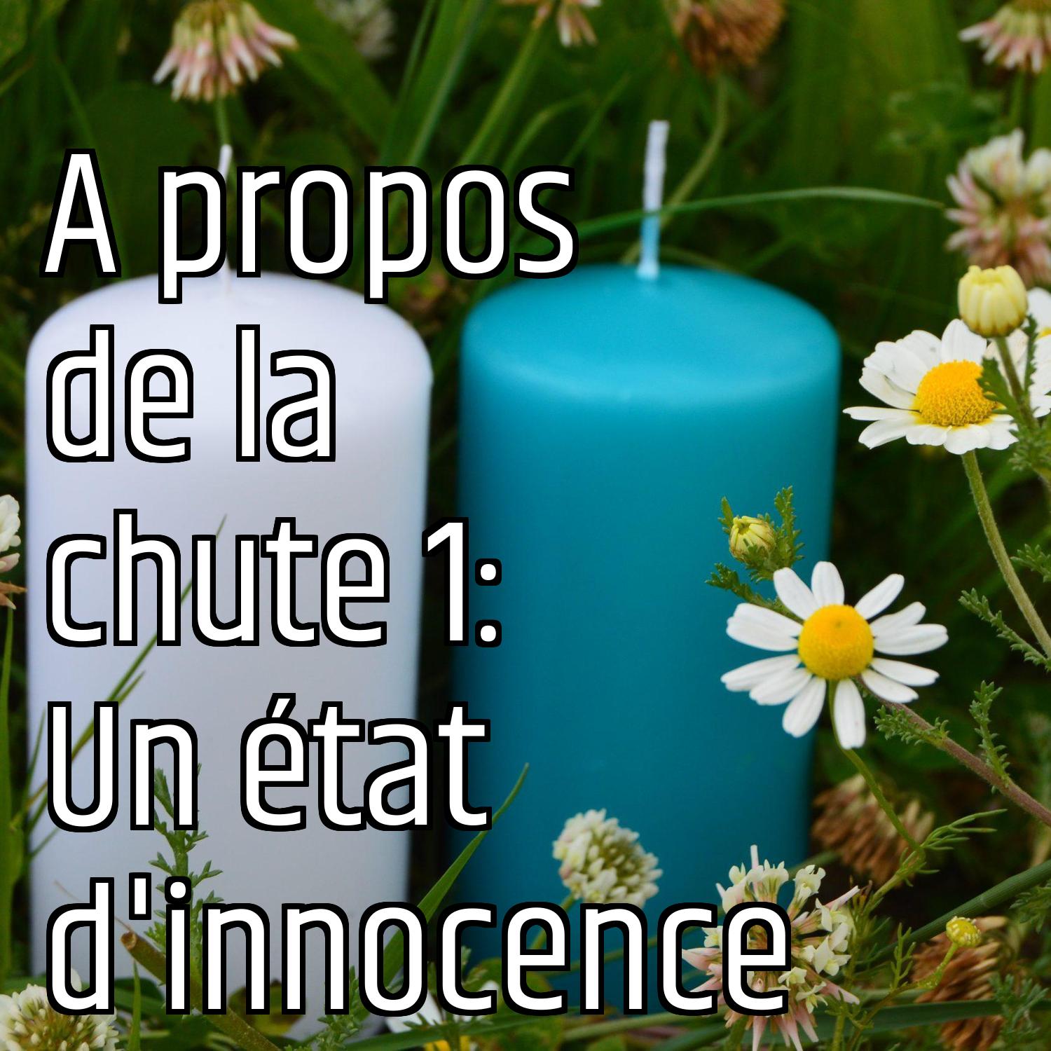 A propos de la chute 1: Un état d'innocence episode artwork