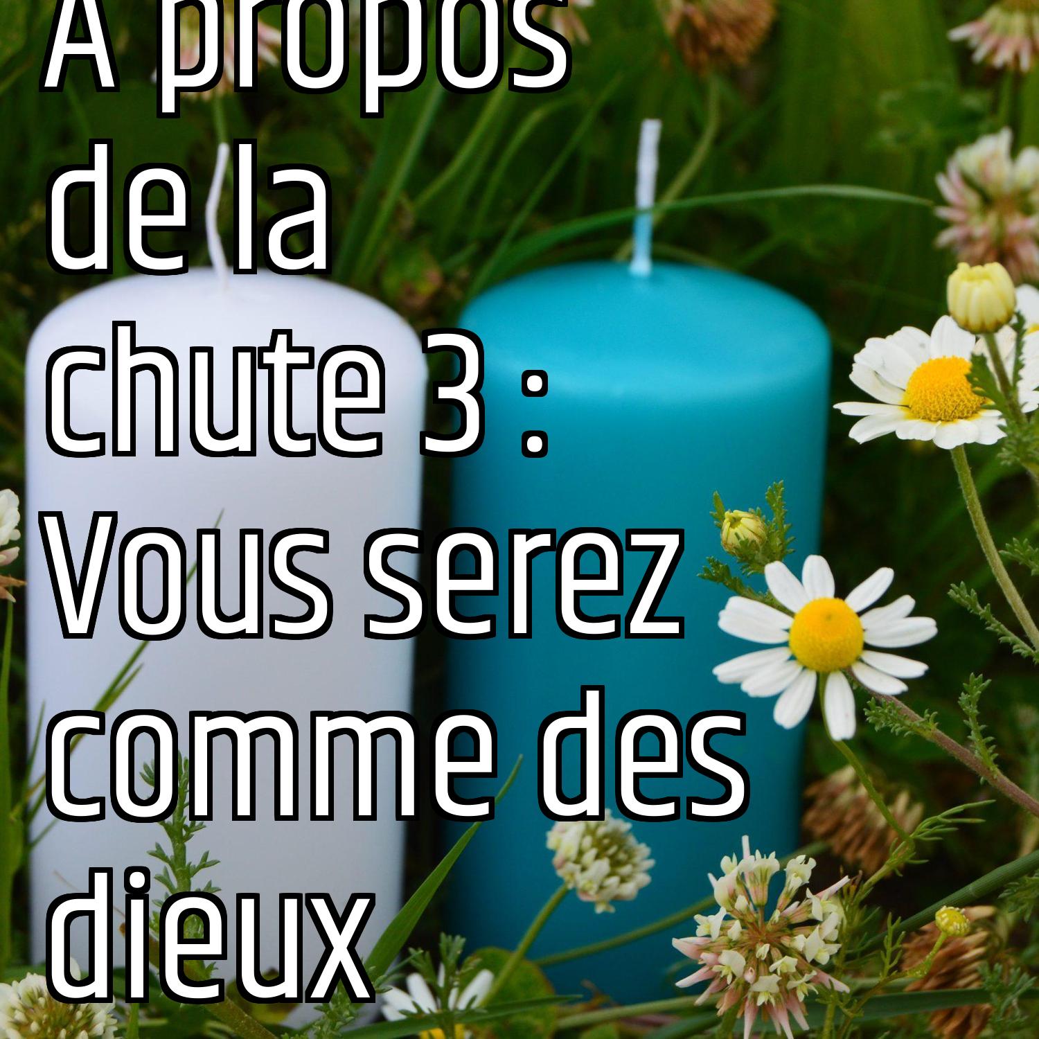 A propos de la chute 3 : Vous serez comme des dieux episode artwork