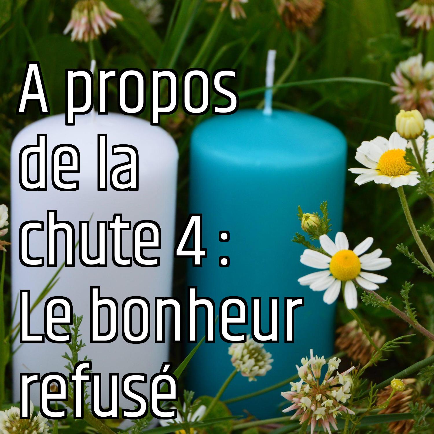 A propos de la chute 4 : Le bonheur refusé episode artwork