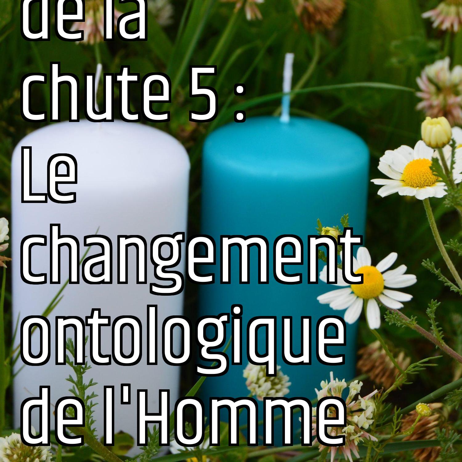 A propos de la chute 5 : Le changement ontologique de l'Homme episode artwork