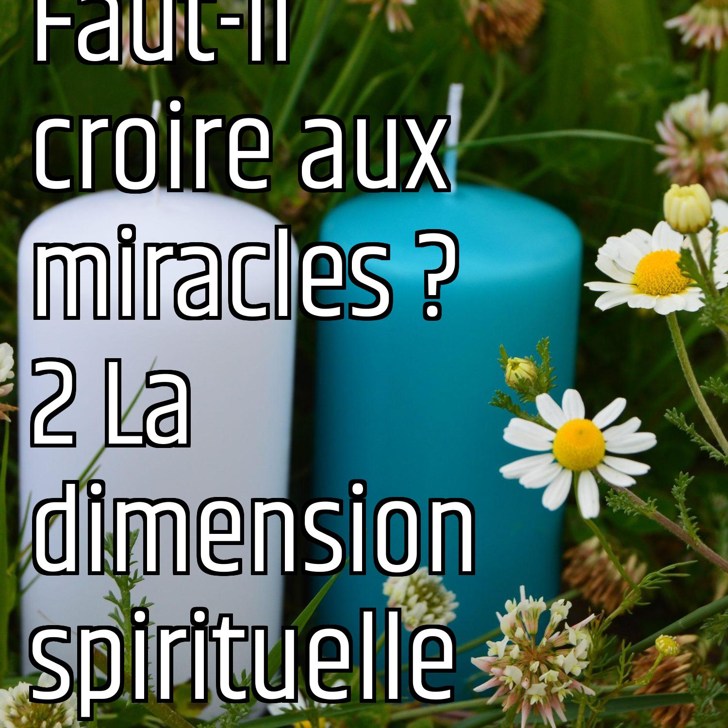 Faut-il croire aux miracles ? 2 La dimension spirituelle episode artwork